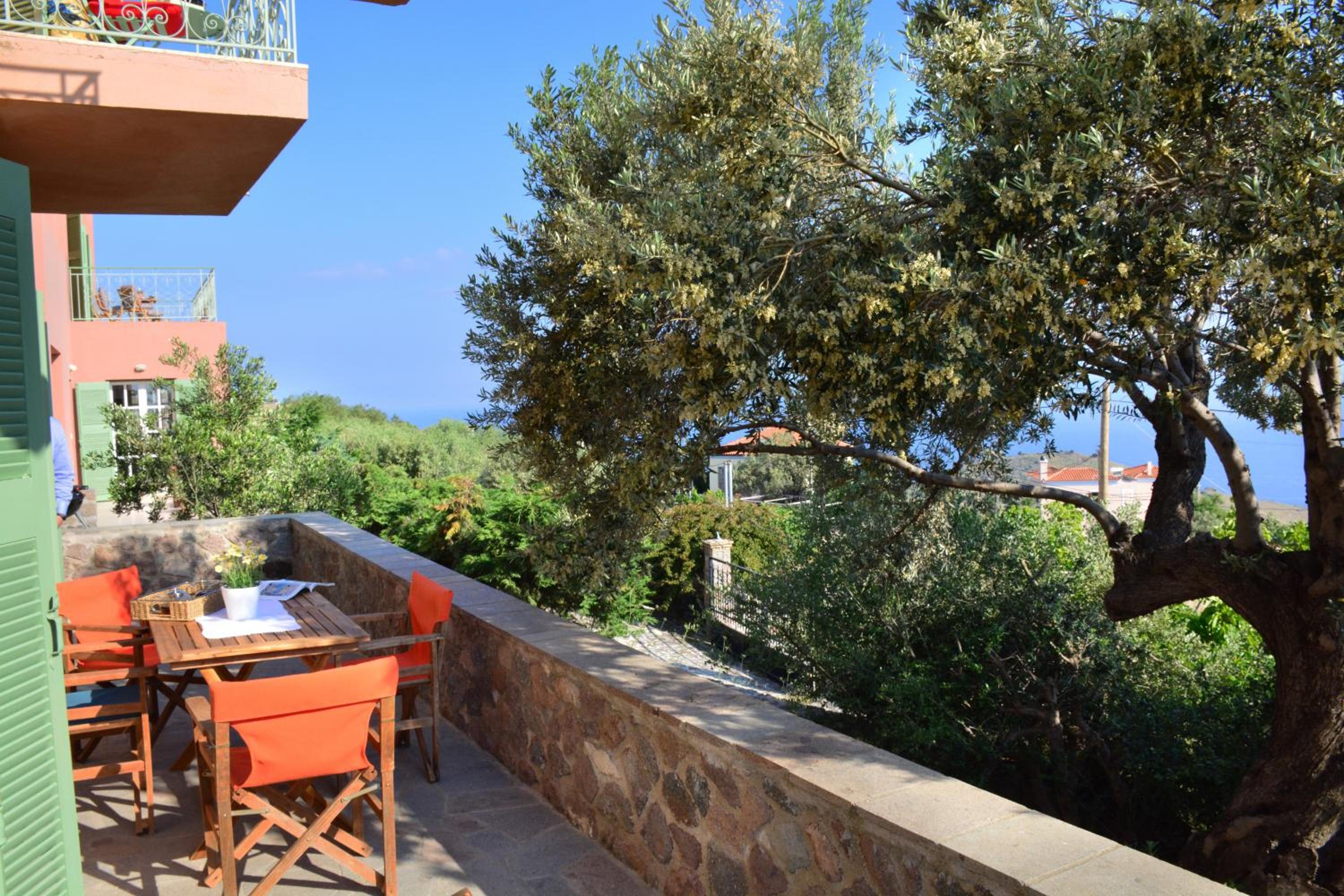 Standard Villa photo 2