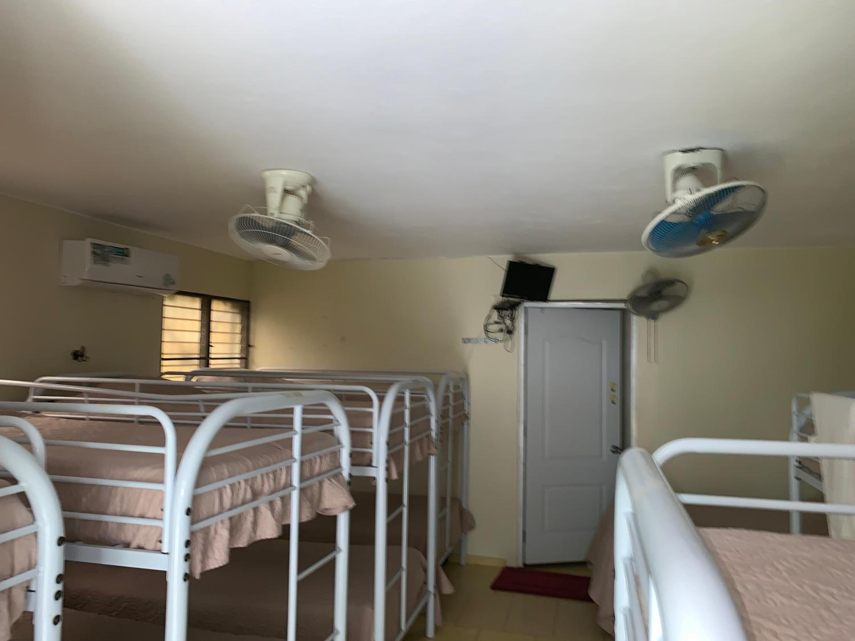 Bunk Bed in Mixed Dormitory Room photo 1