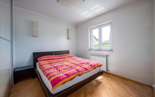 Apartment with Balcony photo 2