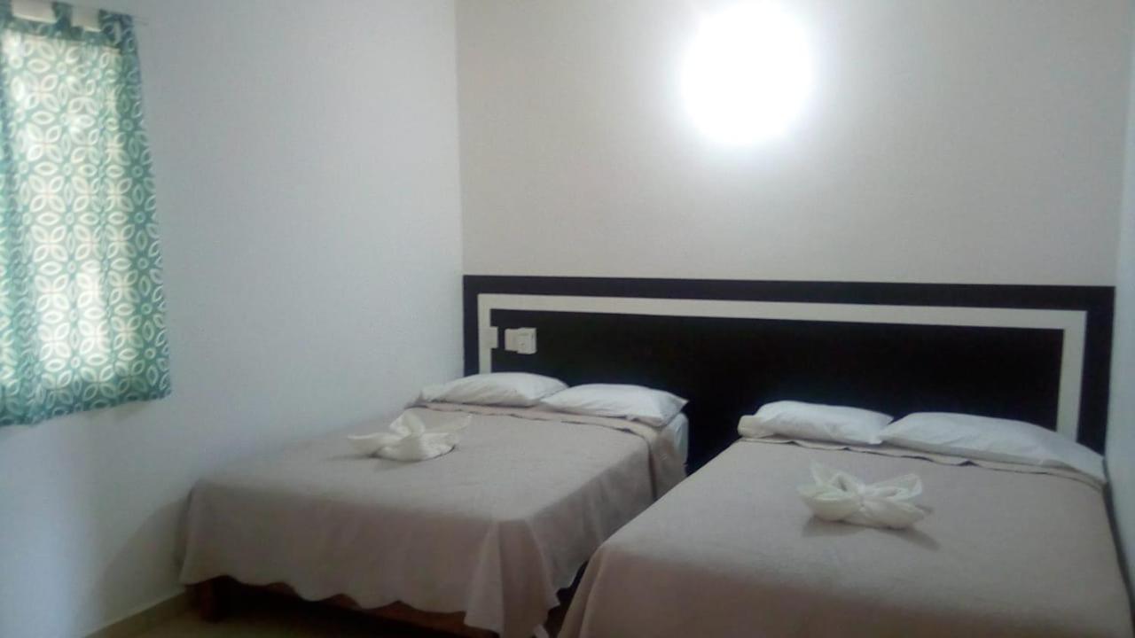 Twin Room photo 1