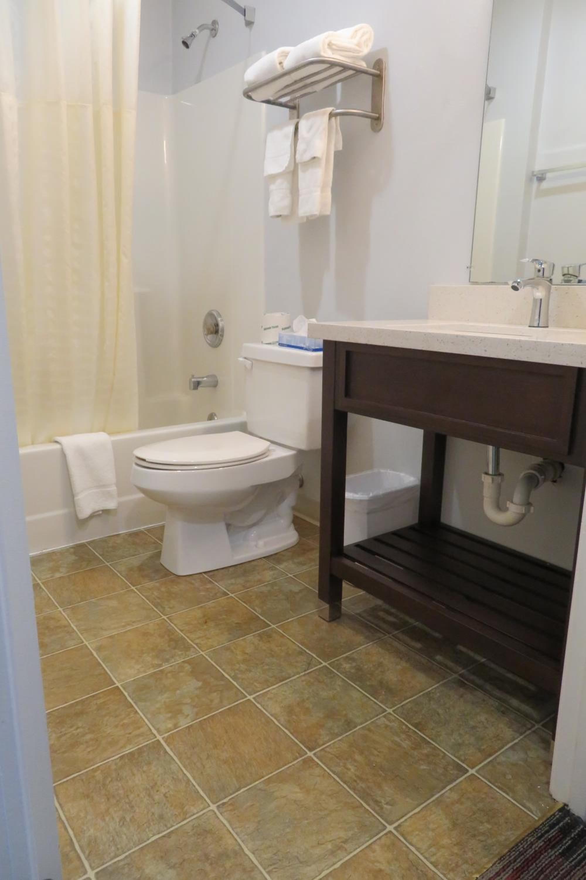 One-Bedroom Suite - Photo 4