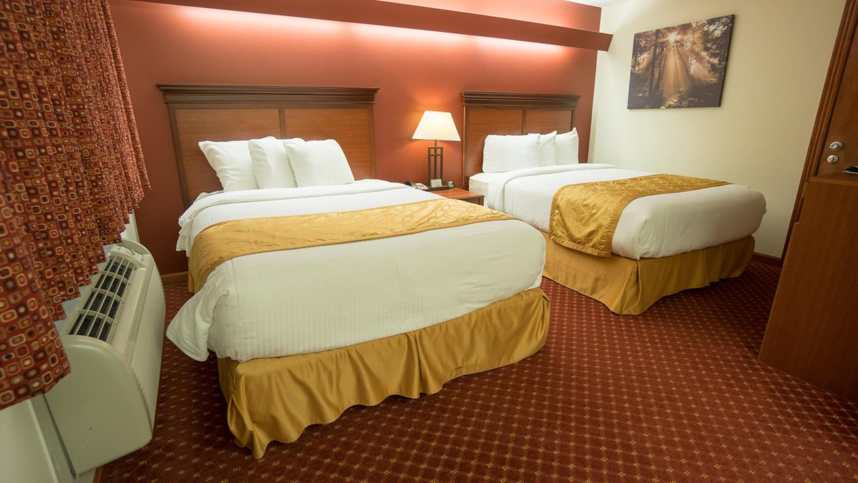 Deluxe Double Room photo 1