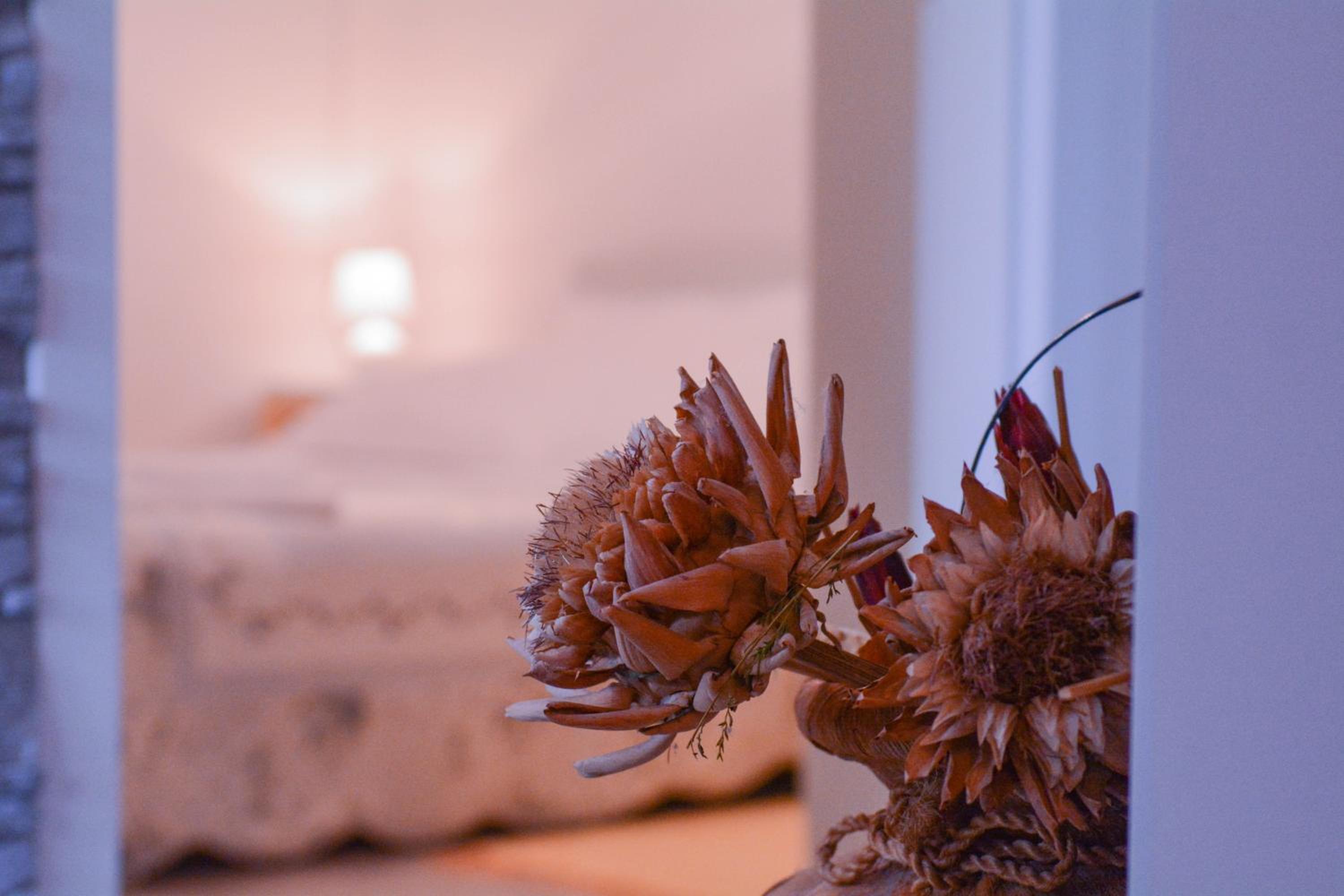 Apartment - Ground Floor - Photo 7
