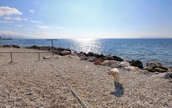 Apartment with Sea View - Photo 43