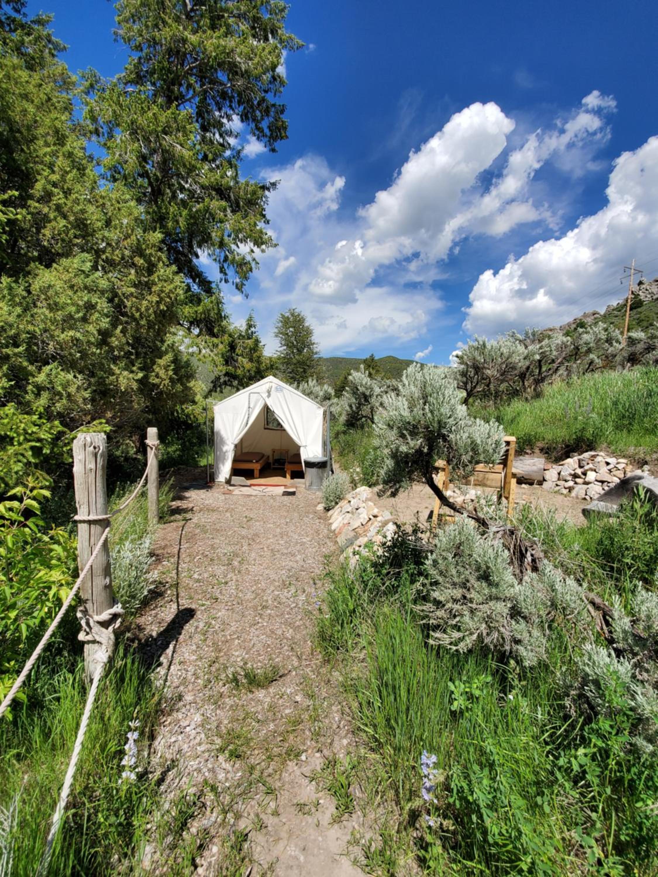 Luxury Tent photo 3