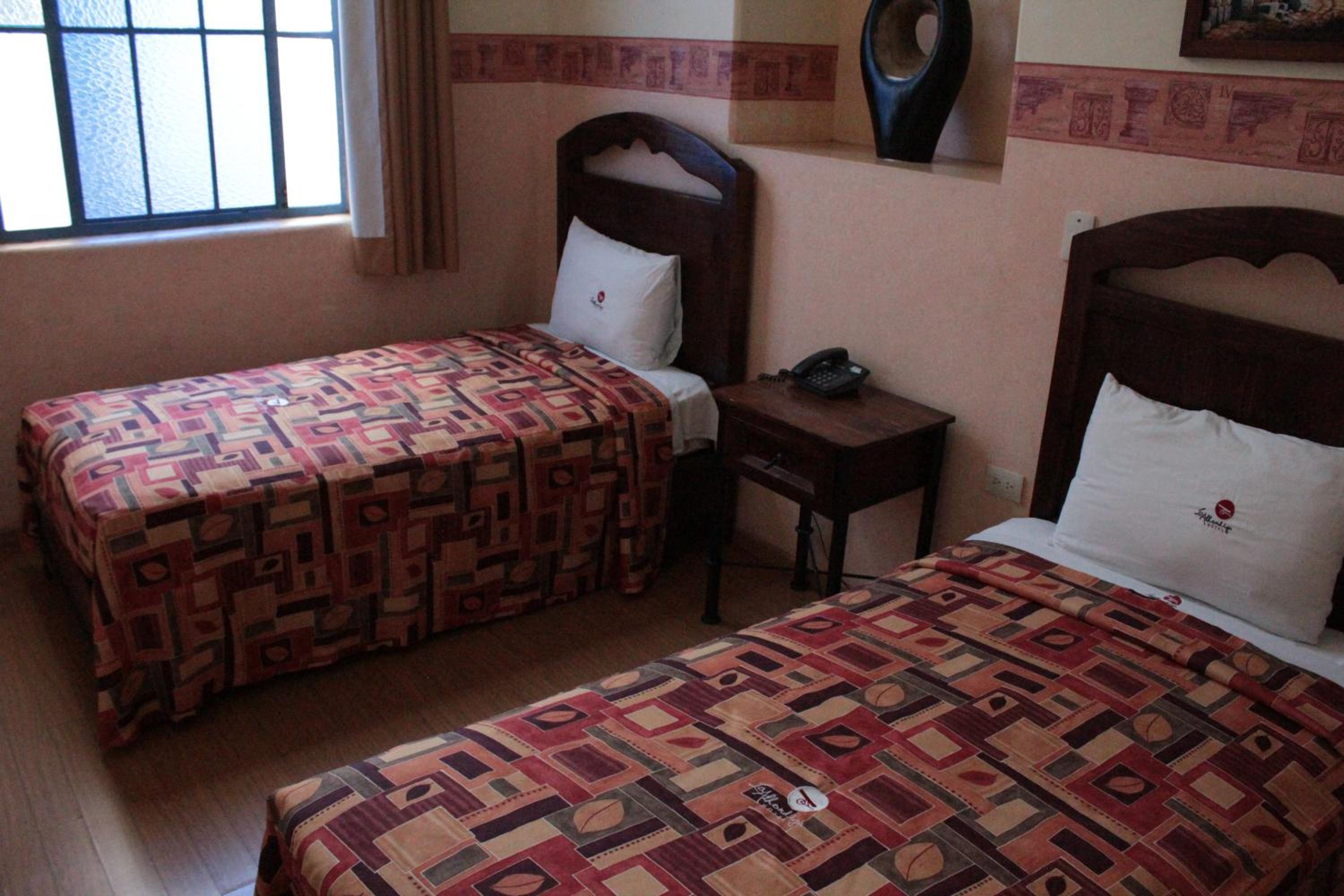 Twin Room photo 1