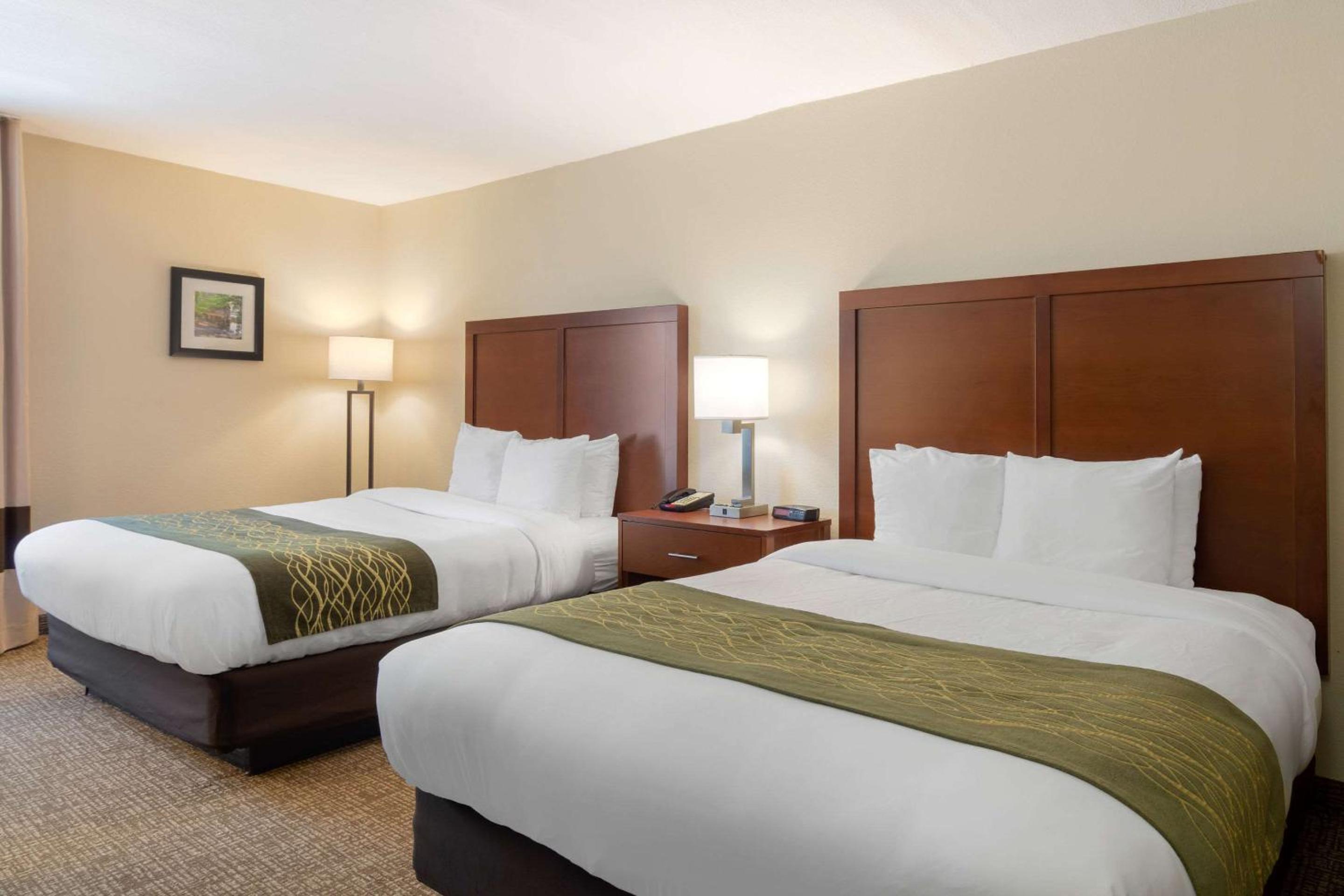 Queen Room with Two Queen Beds - Non-Smoking - Photo 3