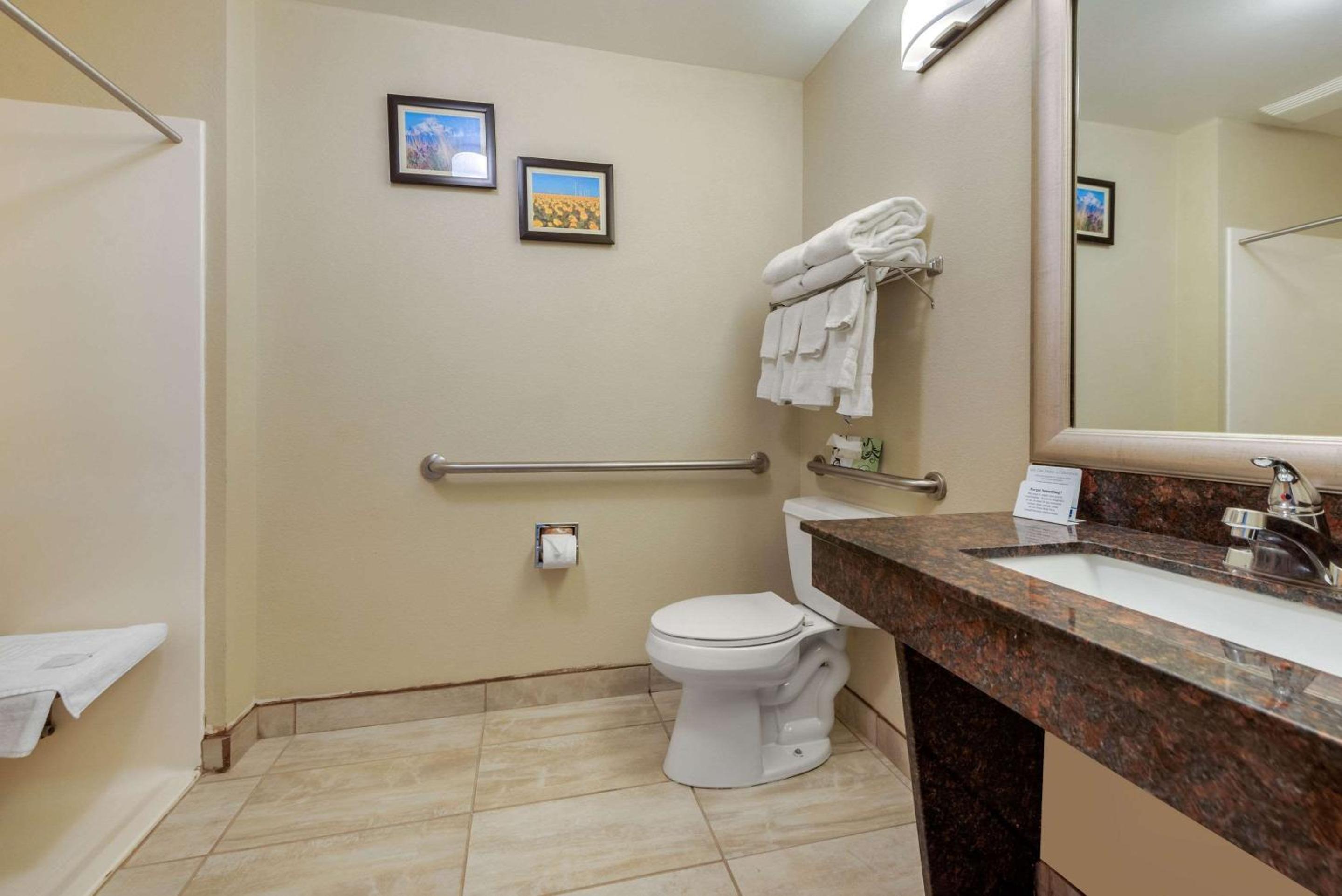 King Room with Roll-In Shower - Accessible/Non-Smoking - Photo 3