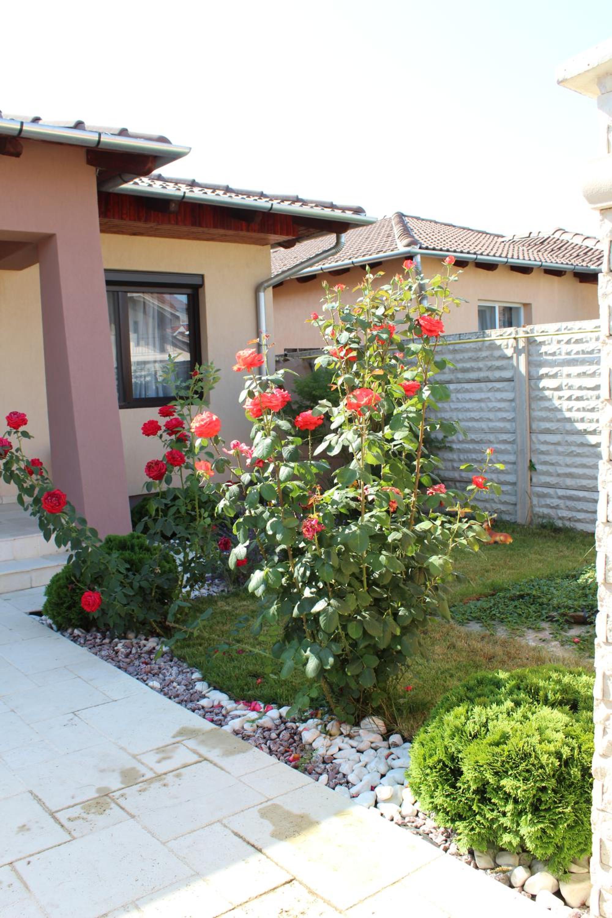 Three-Bedroom Villa - Photo 32
