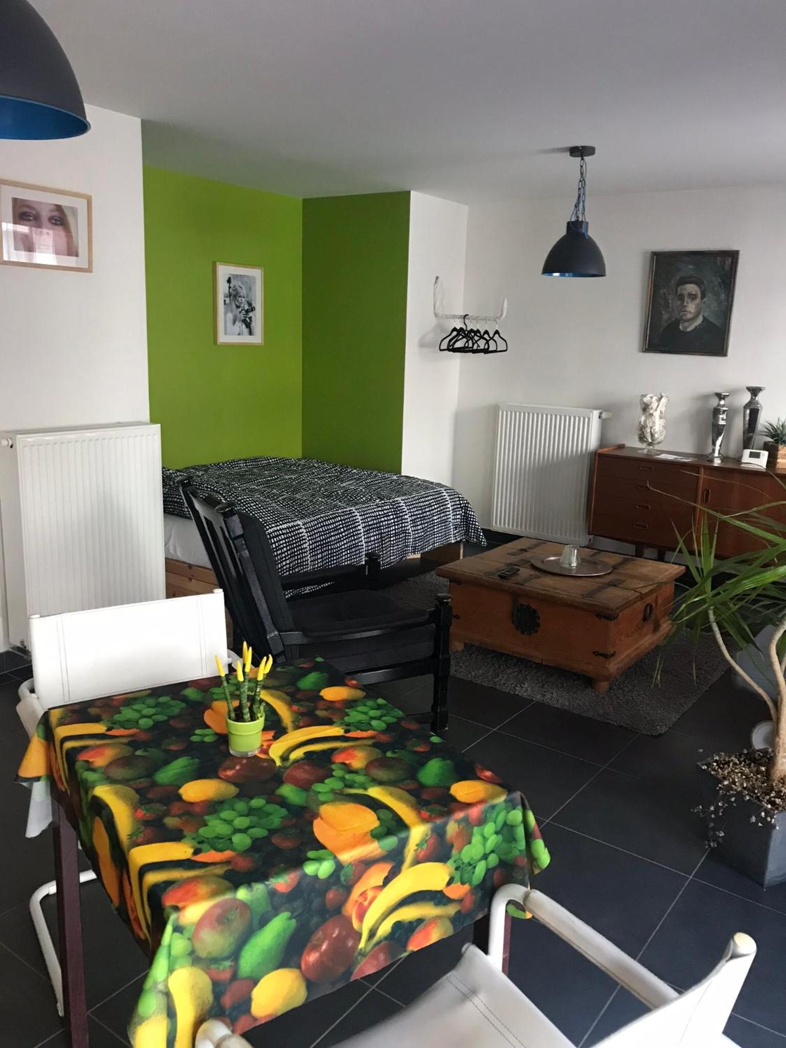 Studio Apartment photo 1