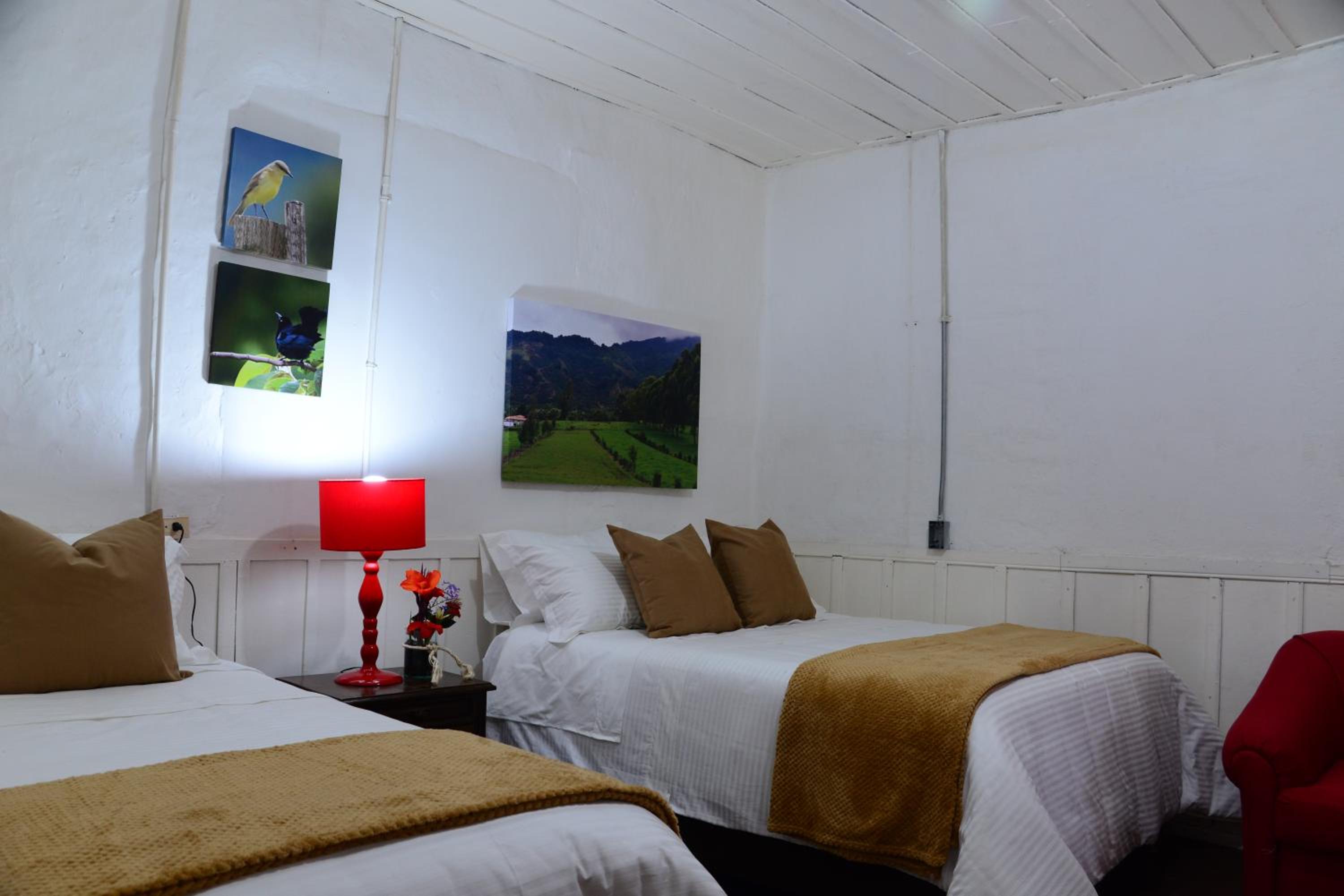 Deluxe Twin Room photo 2