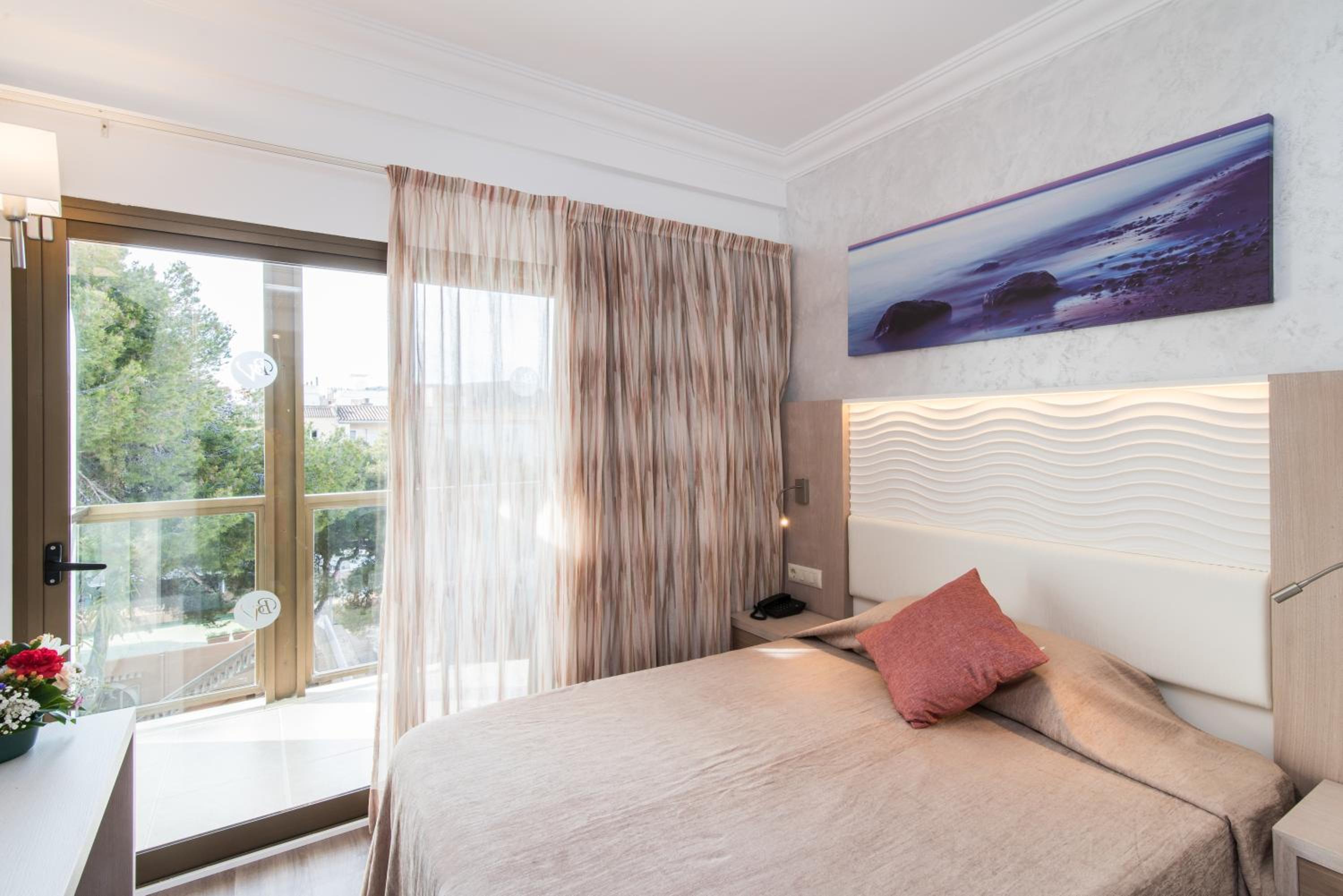 Single Room photo 1