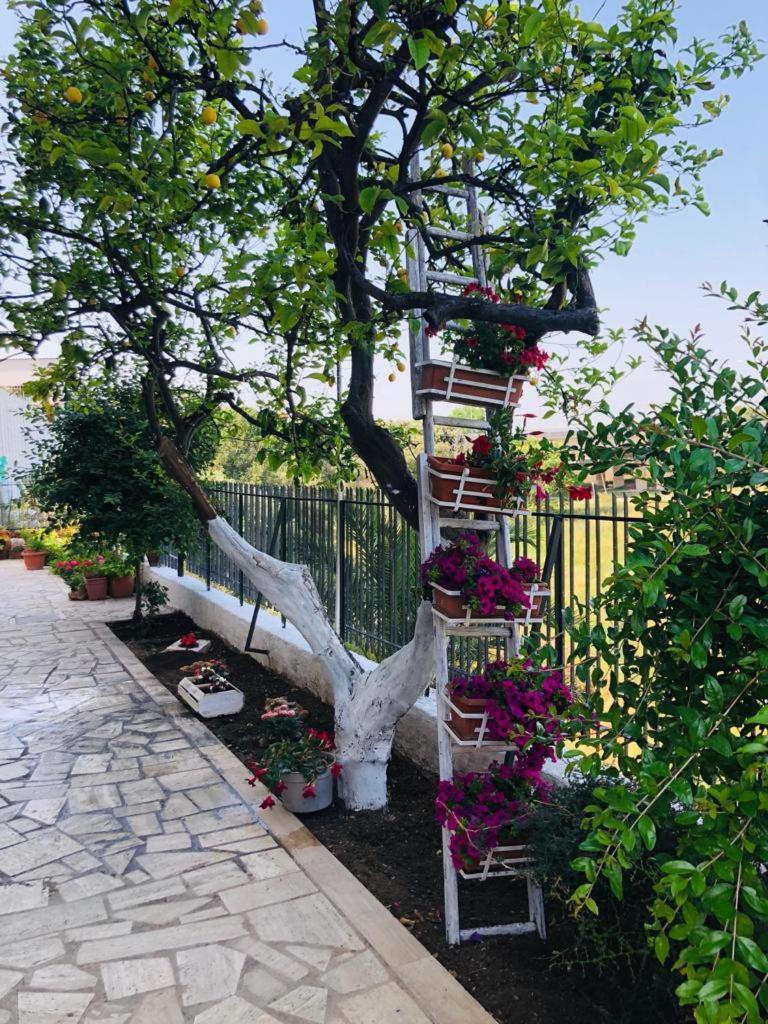 Vacation Home - Photo 4