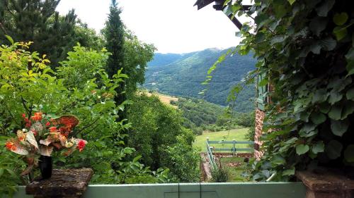 Suite with Mountain View photo 1
