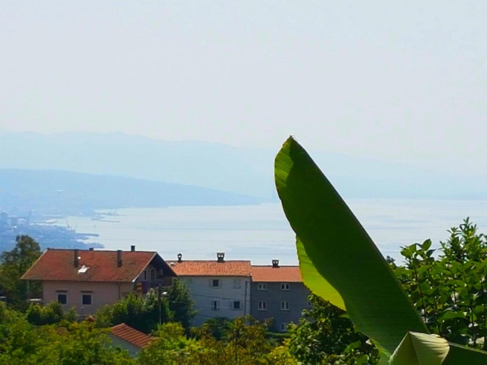 Studio with Sea View photo 3