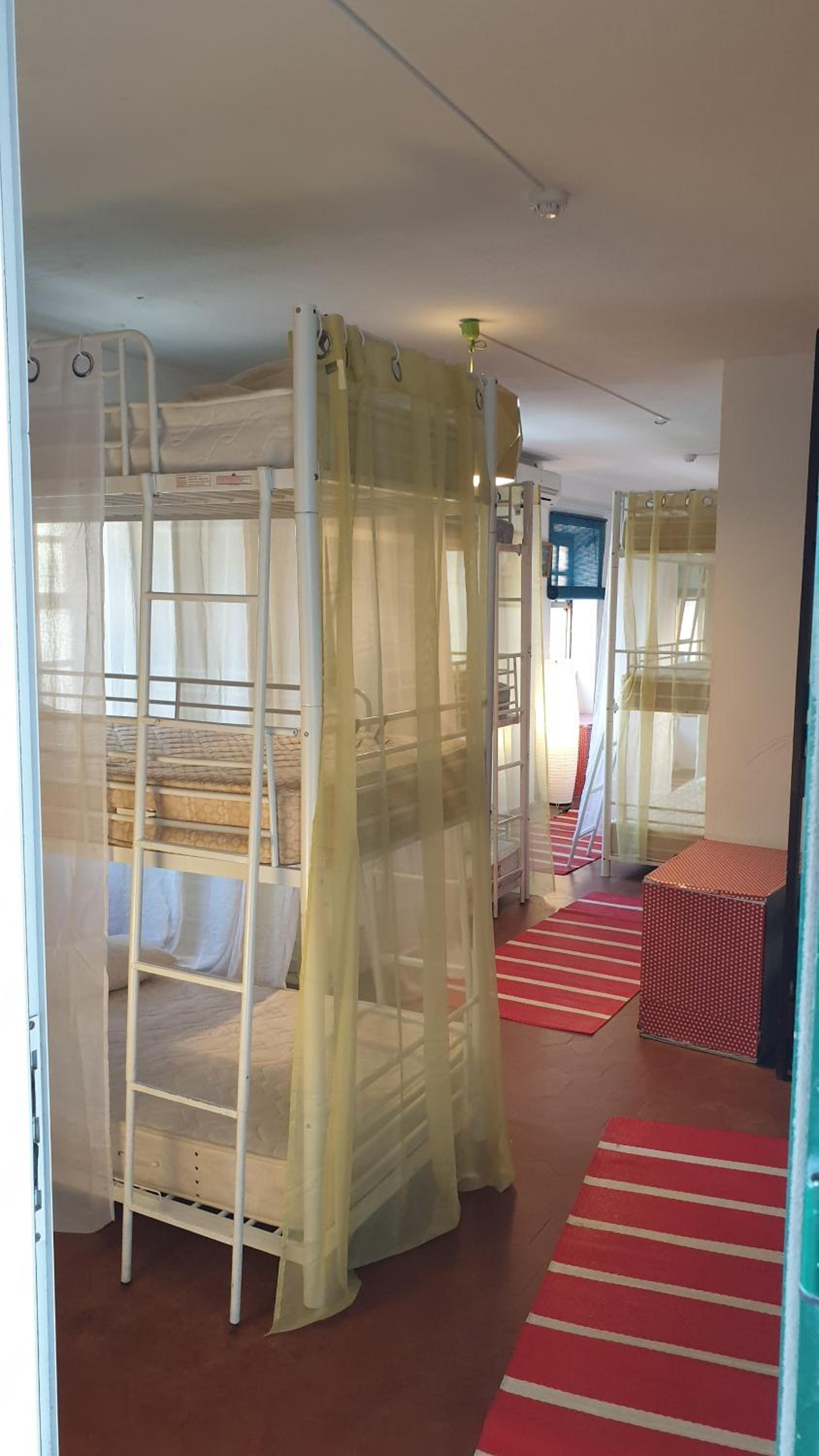 Bunk Bed In Mixed Dormitory Room