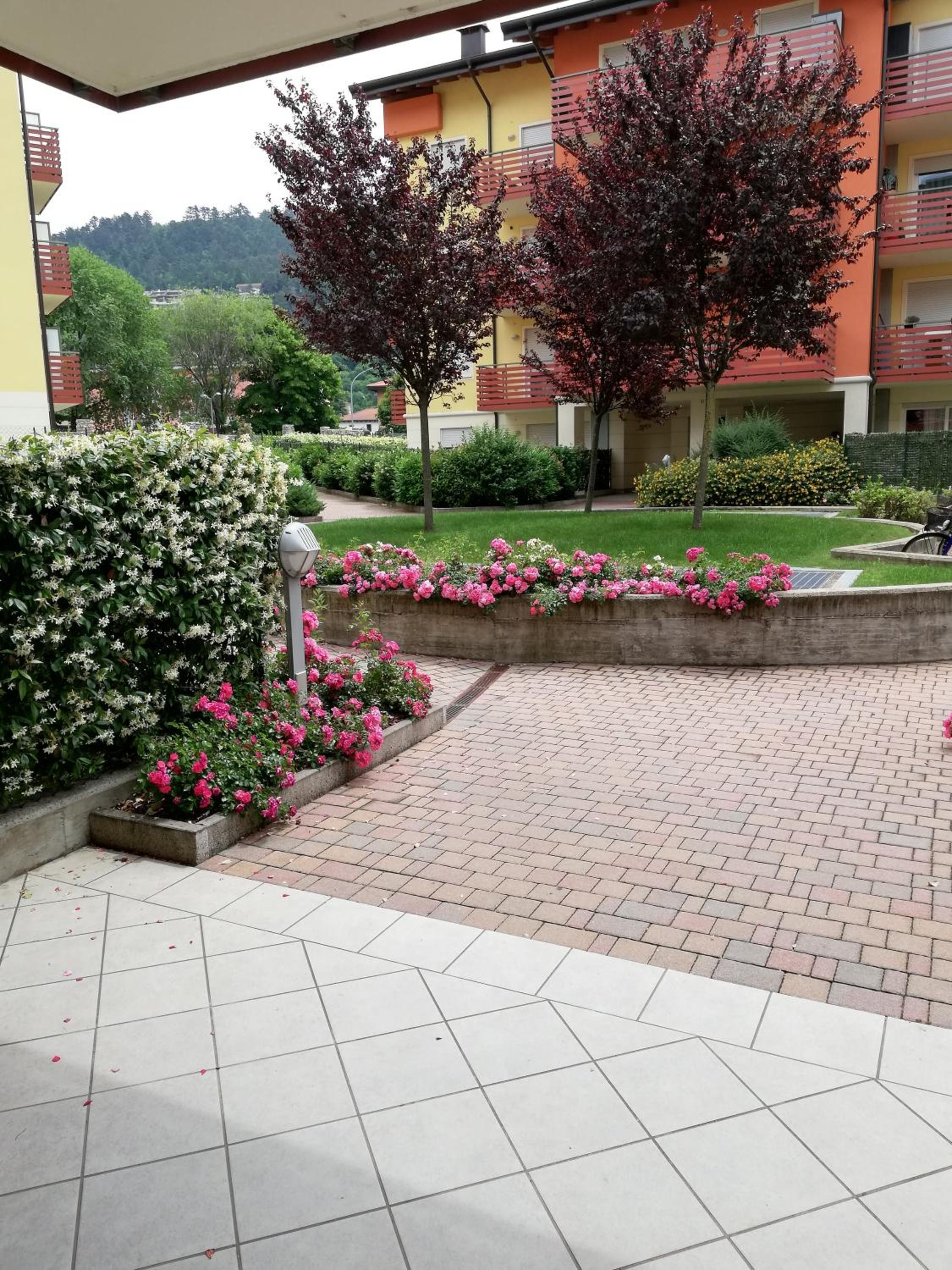 Apartment with Garden View - Photo 10