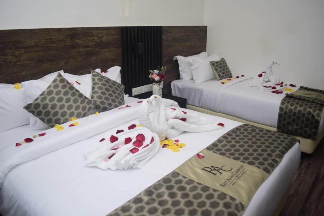 Deluxe Triple Room - Photo 5