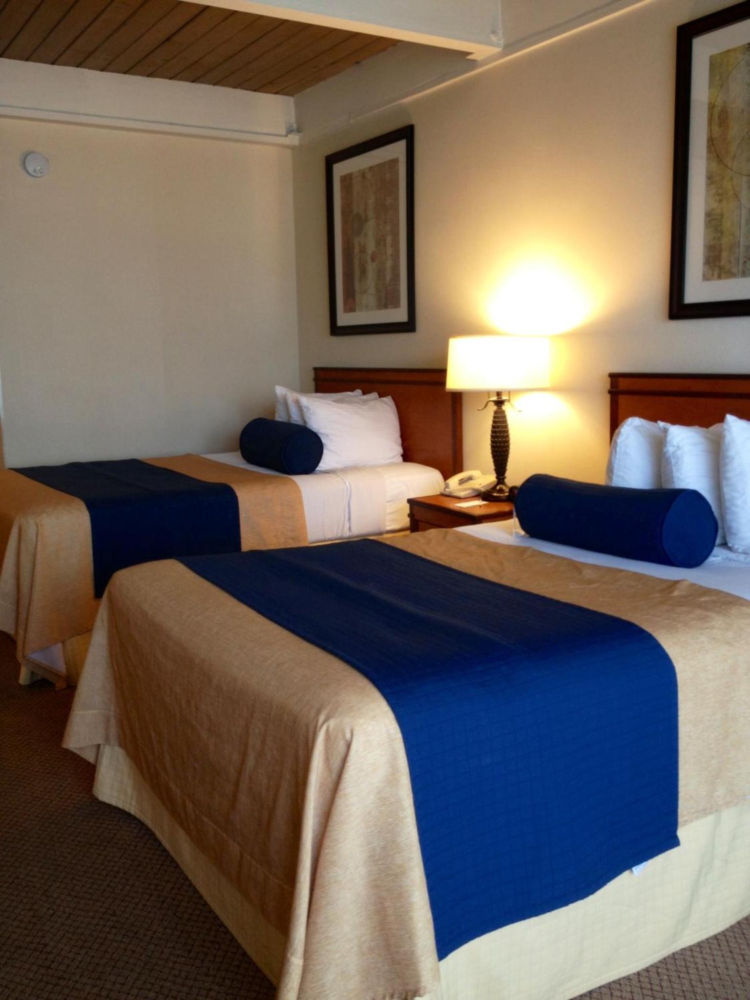 Standard Double Room with Two Double Beds - Photo 6
