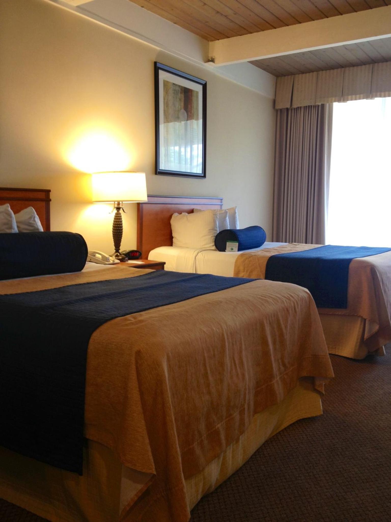 Standard Double Room with Two Double Beds - Photo 7