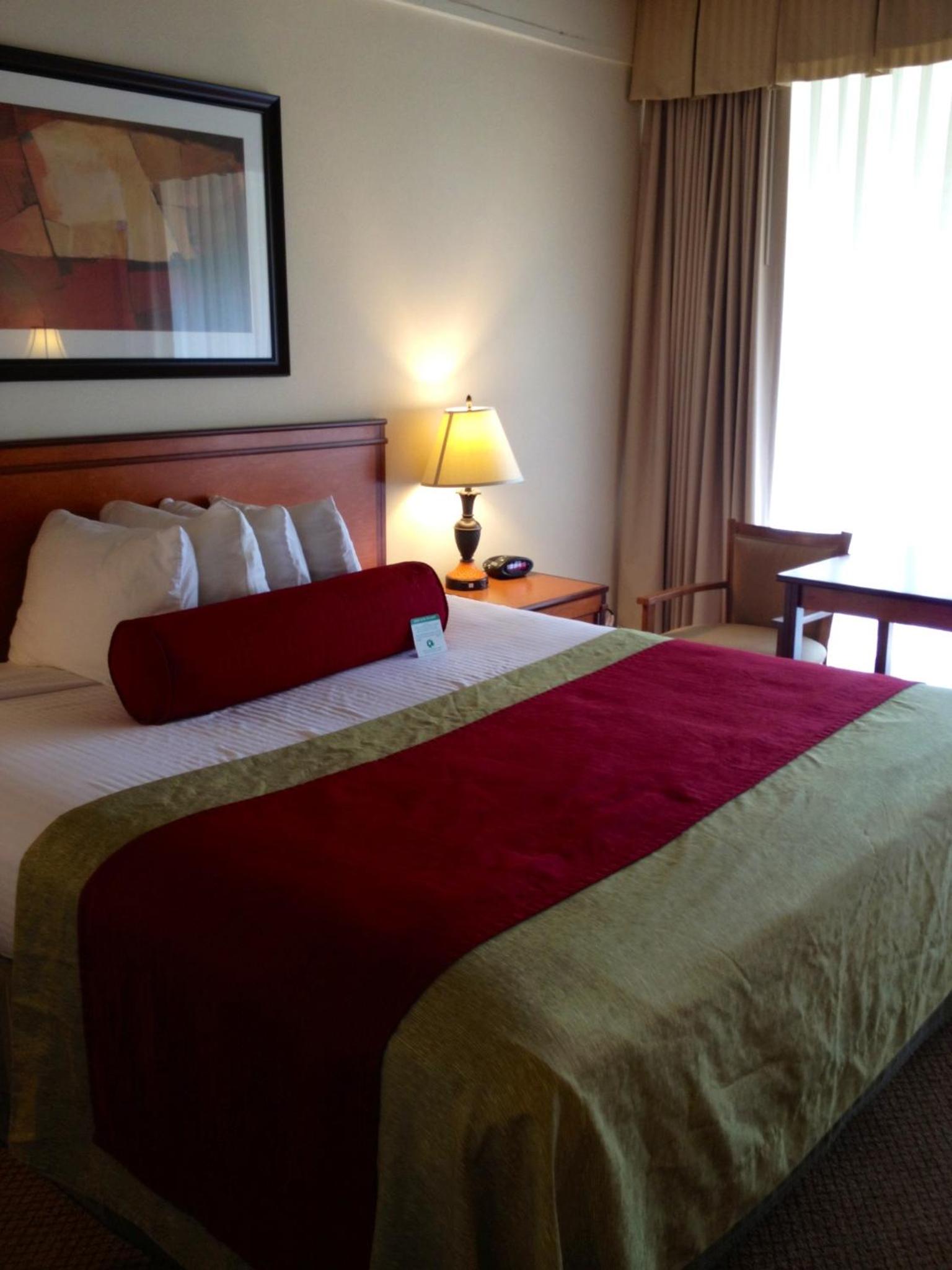 Standard King Room - Photo 8