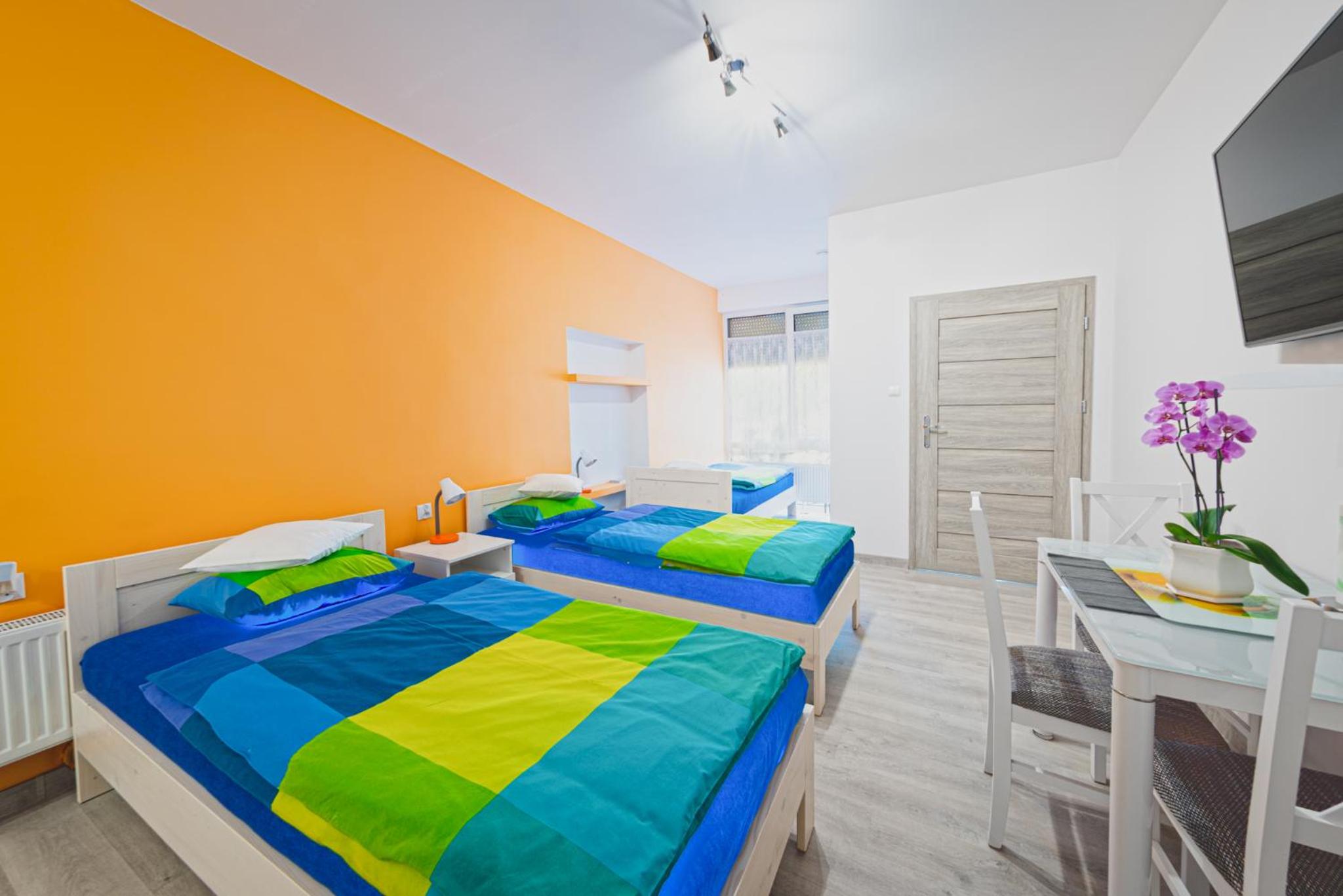 Superior Apartment photo 2