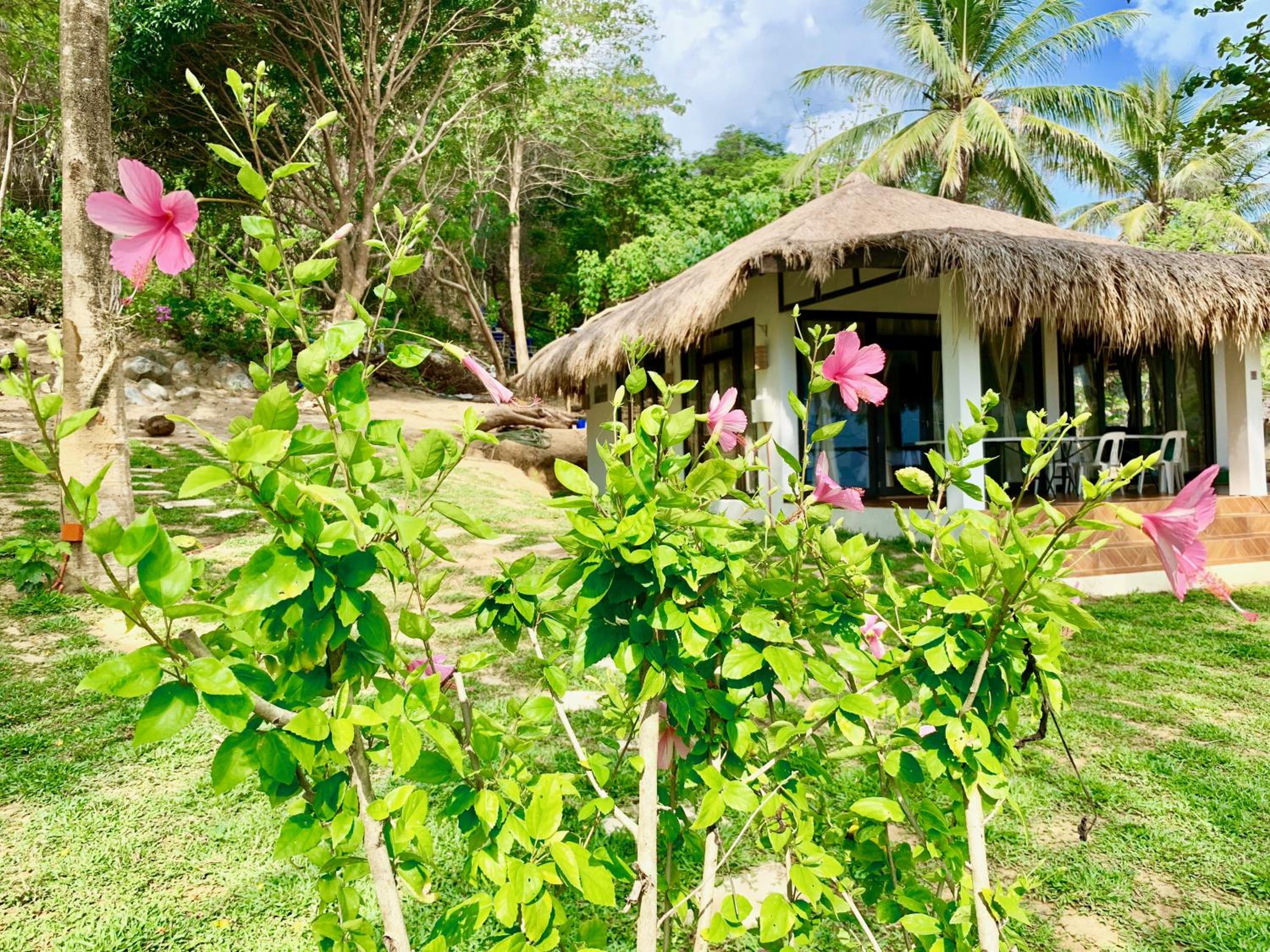 Two-Bedroom Villa - Beach Front - Photo 35