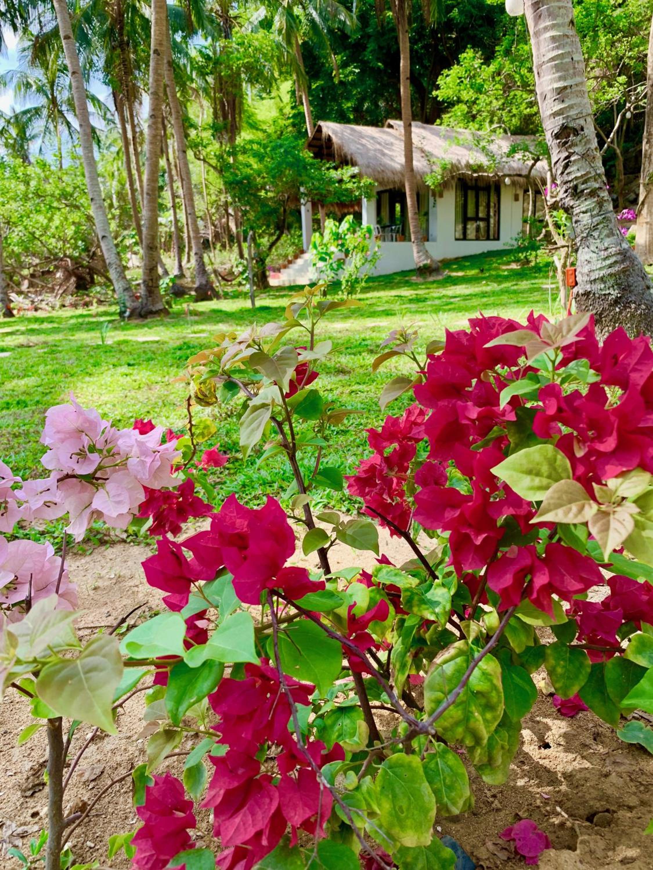 Studio Villa - Beach Front - Photo 35