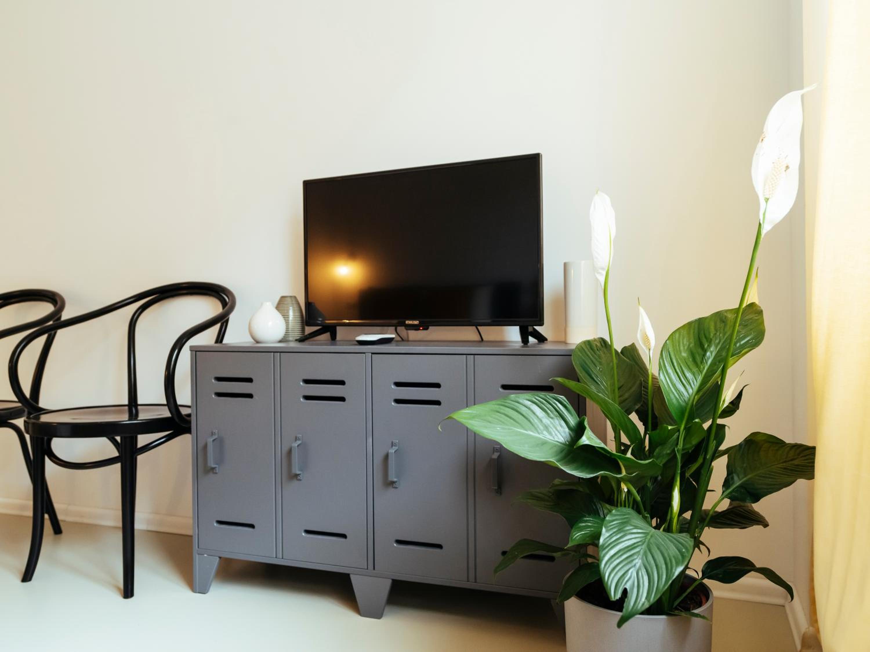 One-Bedroom Apartment - Photo 10