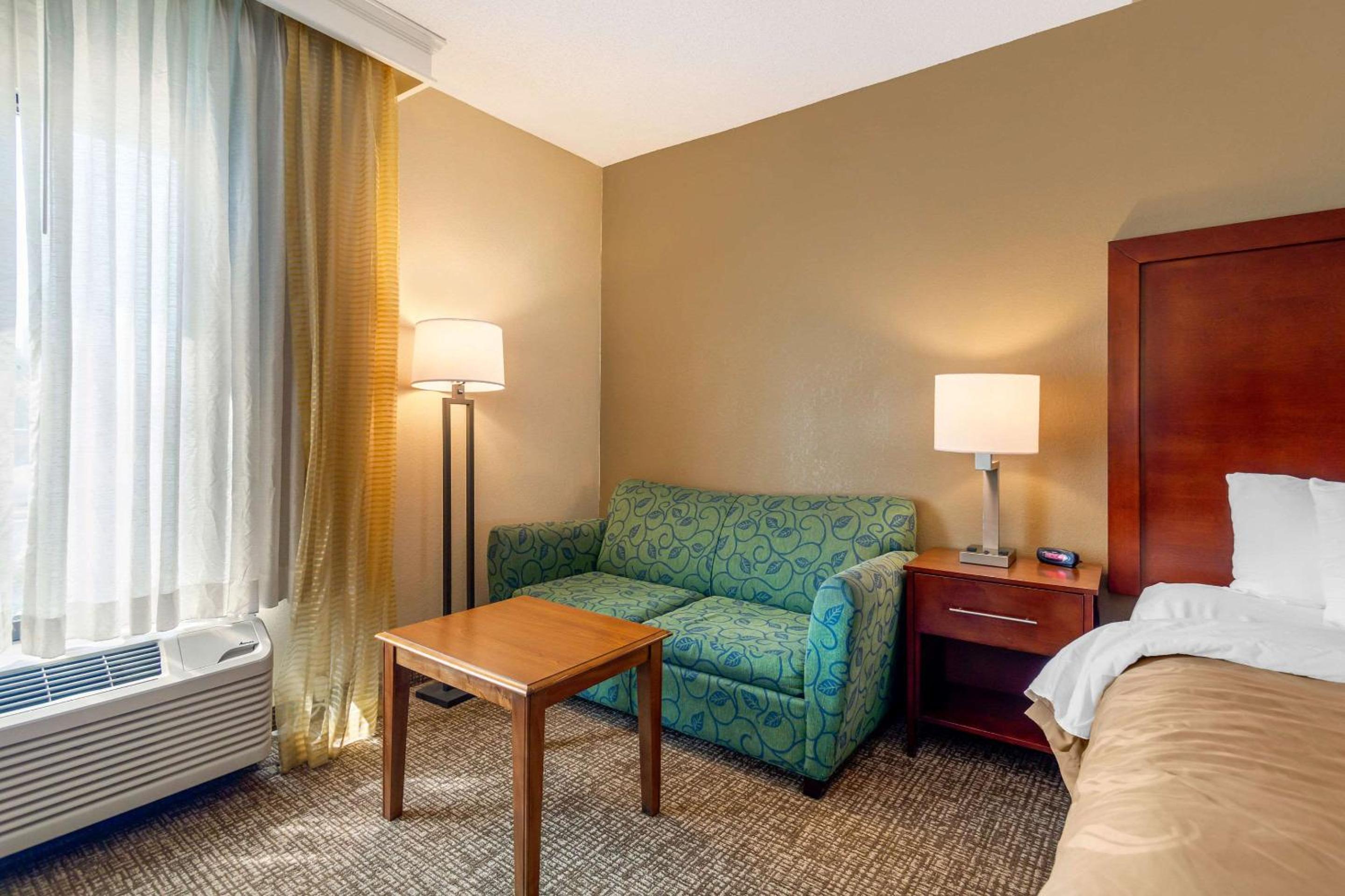 King Room with Roll-In Shower - Accessible/Non-Smoking photo 2