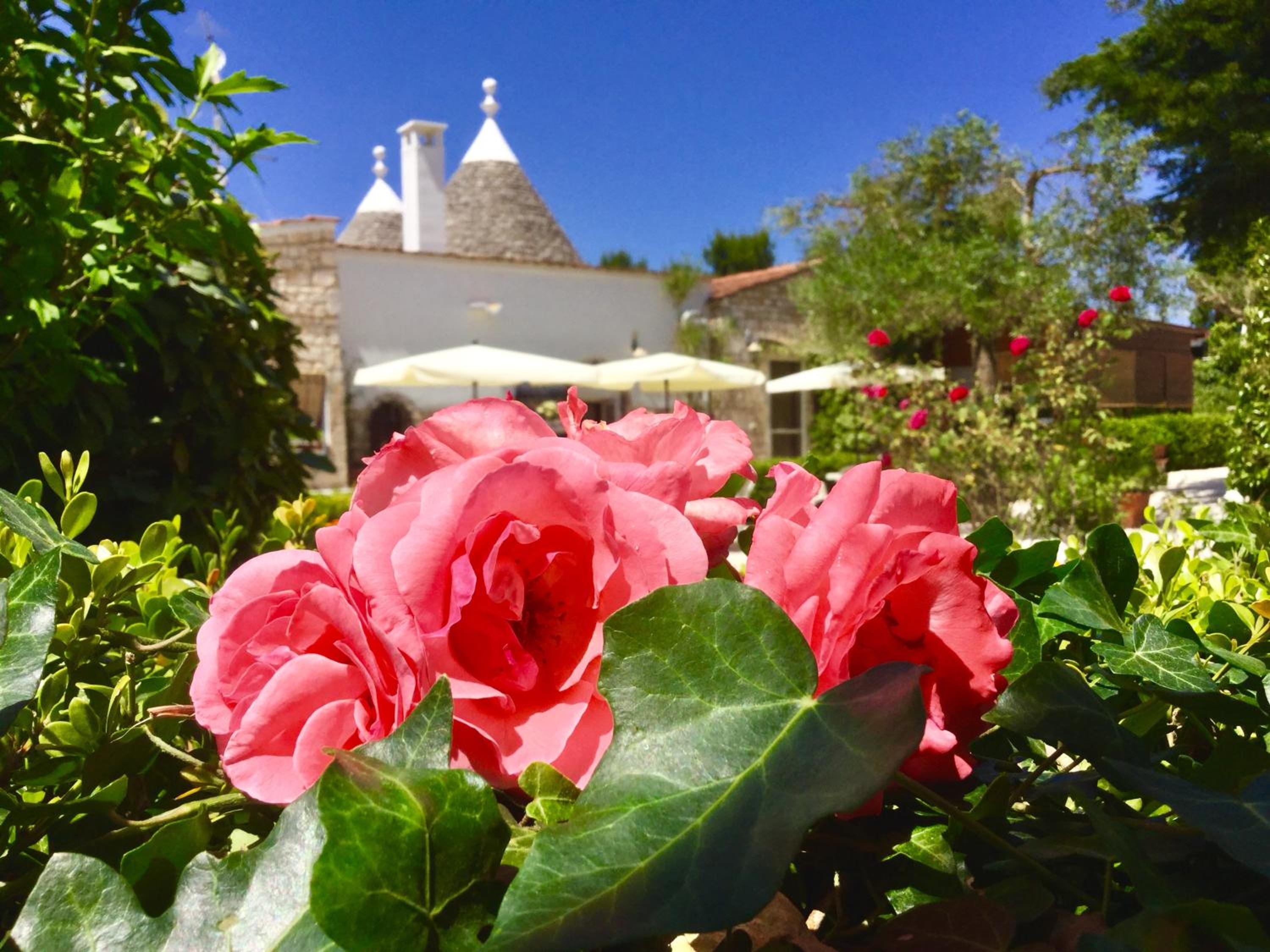 Suite - Trulli - Photo 24