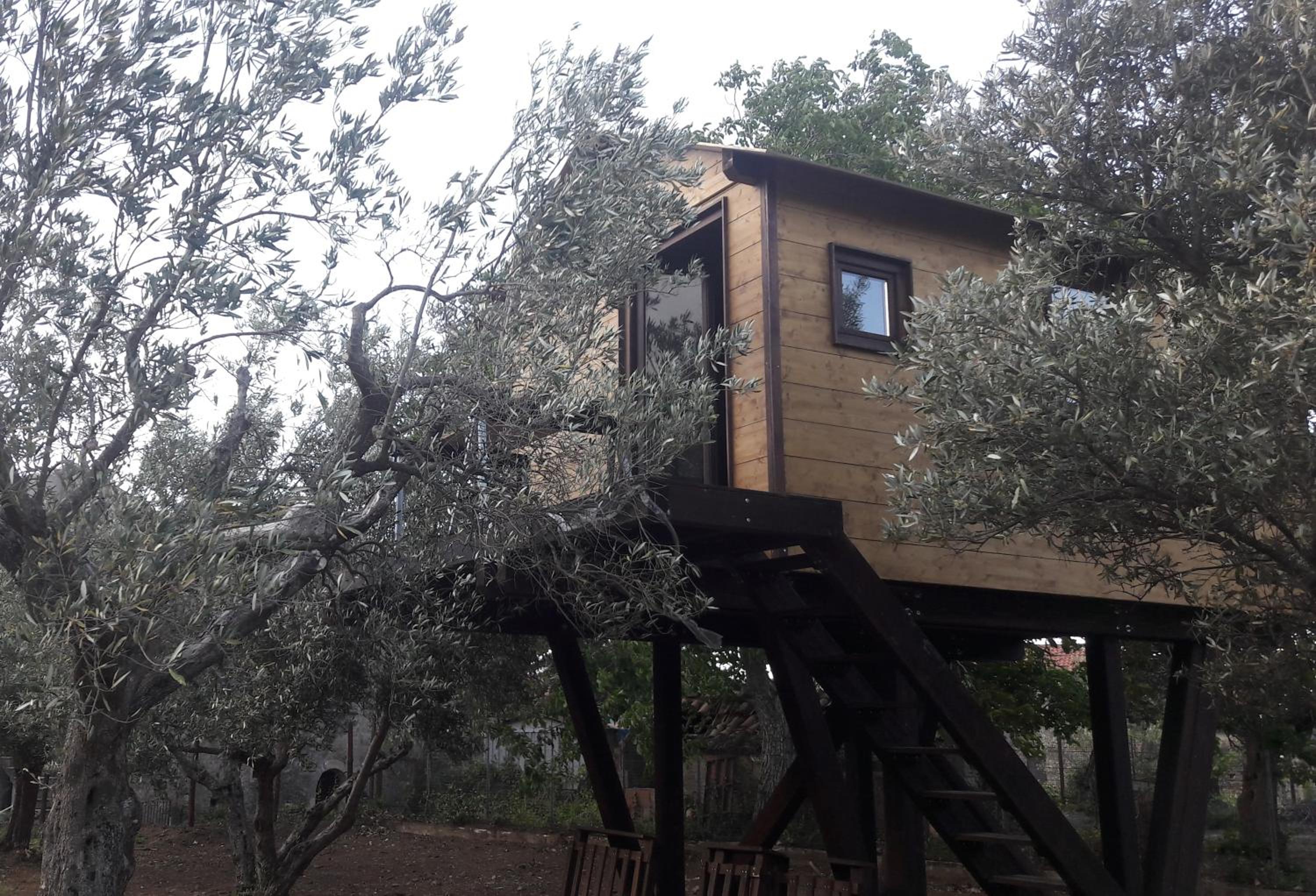 Walnut Tree House photo 3
