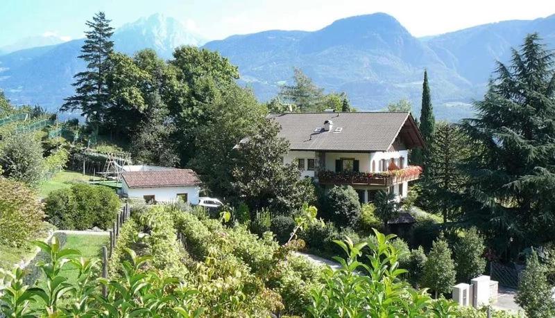 Apartment with Garden View