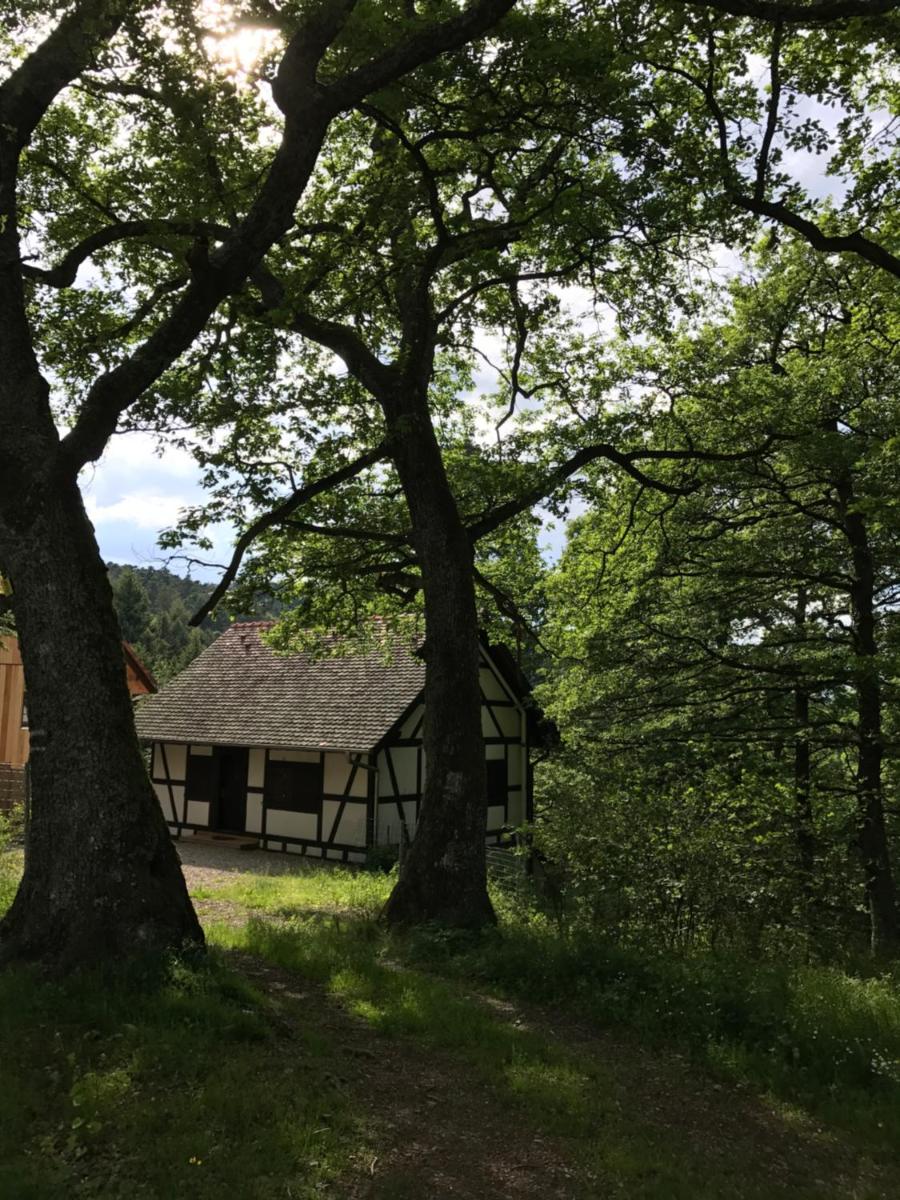 Le Petit Pavillon photo 2