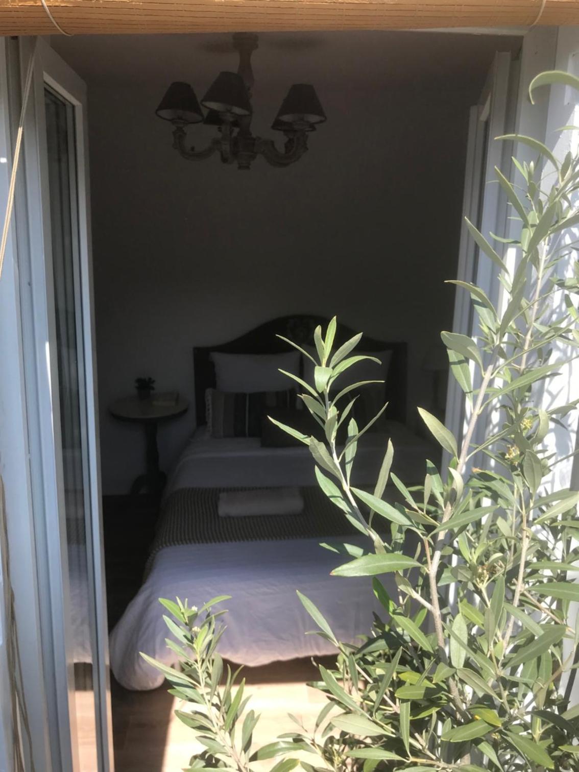 Studio with Balcony photo 2