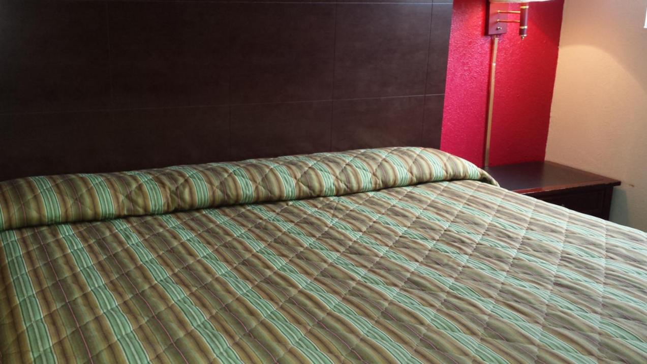 King Room photo 1
