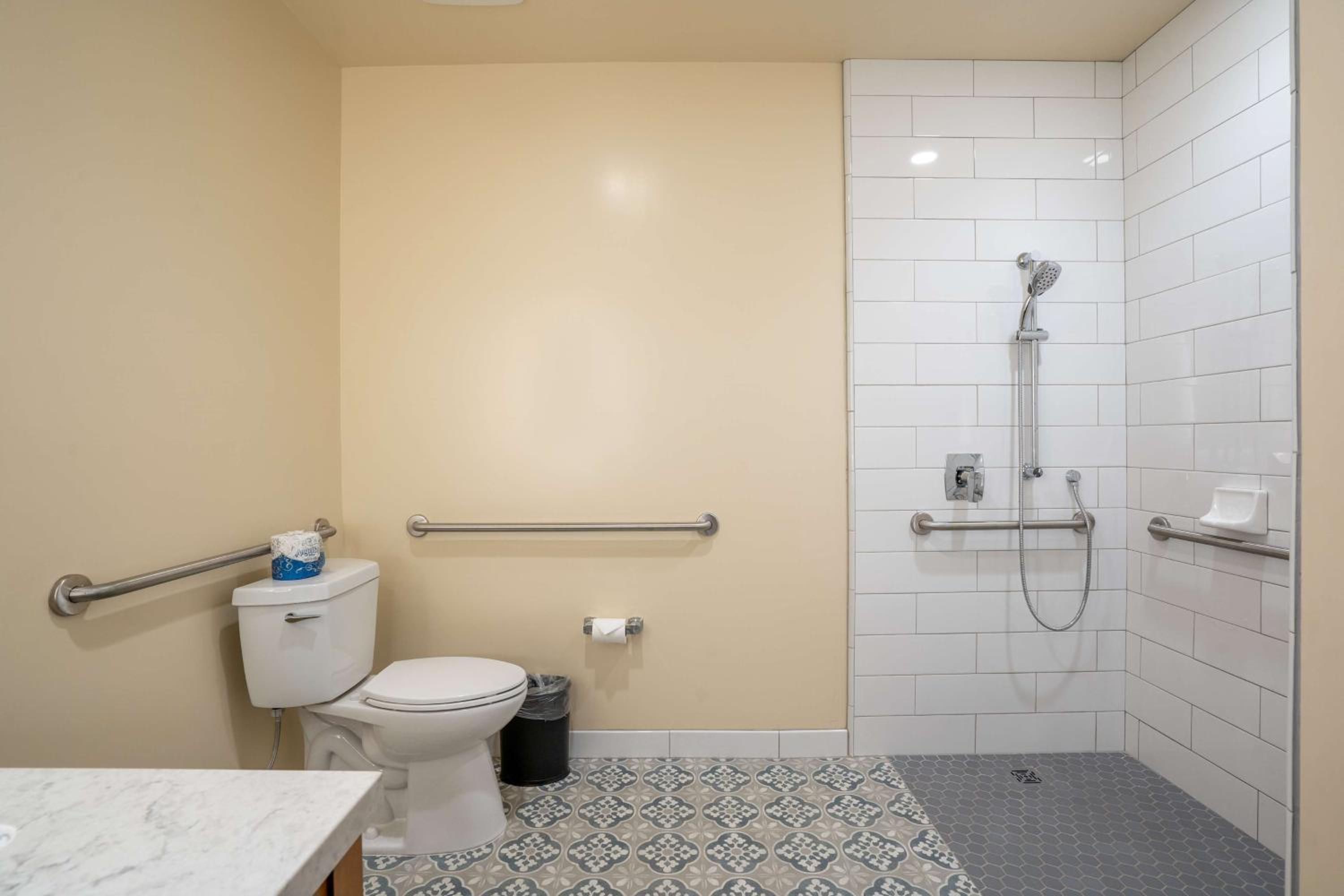 Queen Room - Disability Access Tub - Photo 3