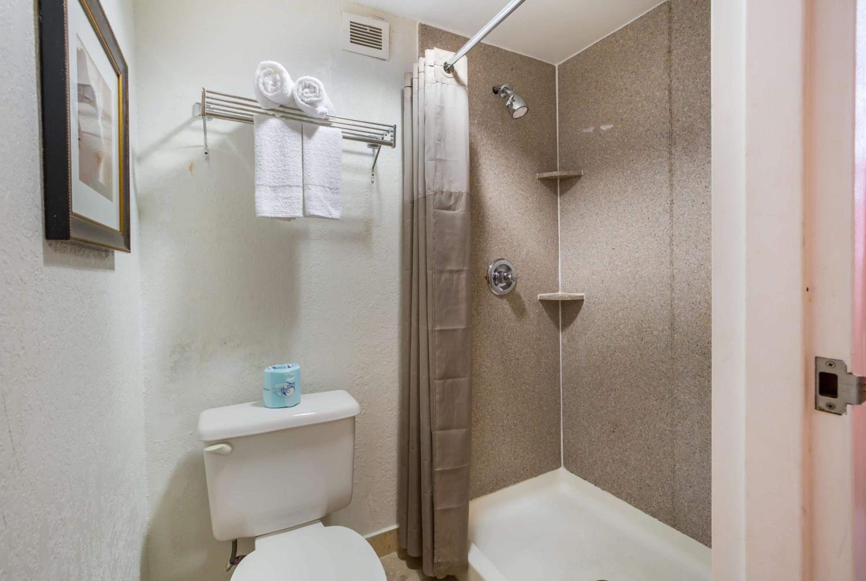 King Room with Roll-in Shower - Disability Access - Non-Smoking - Photo 4