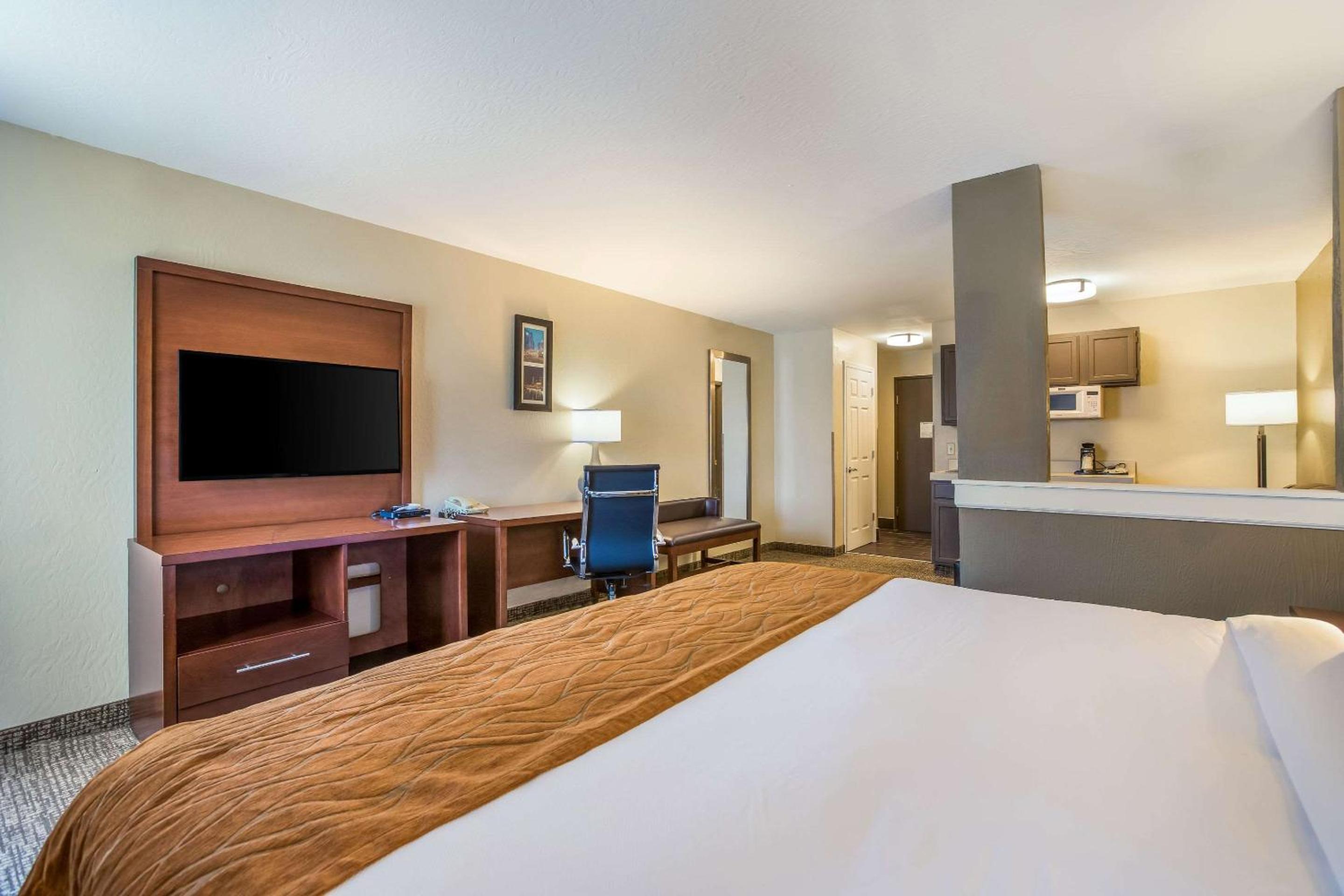 King Suite with One King Bed - Non-Smoking - Photo 10