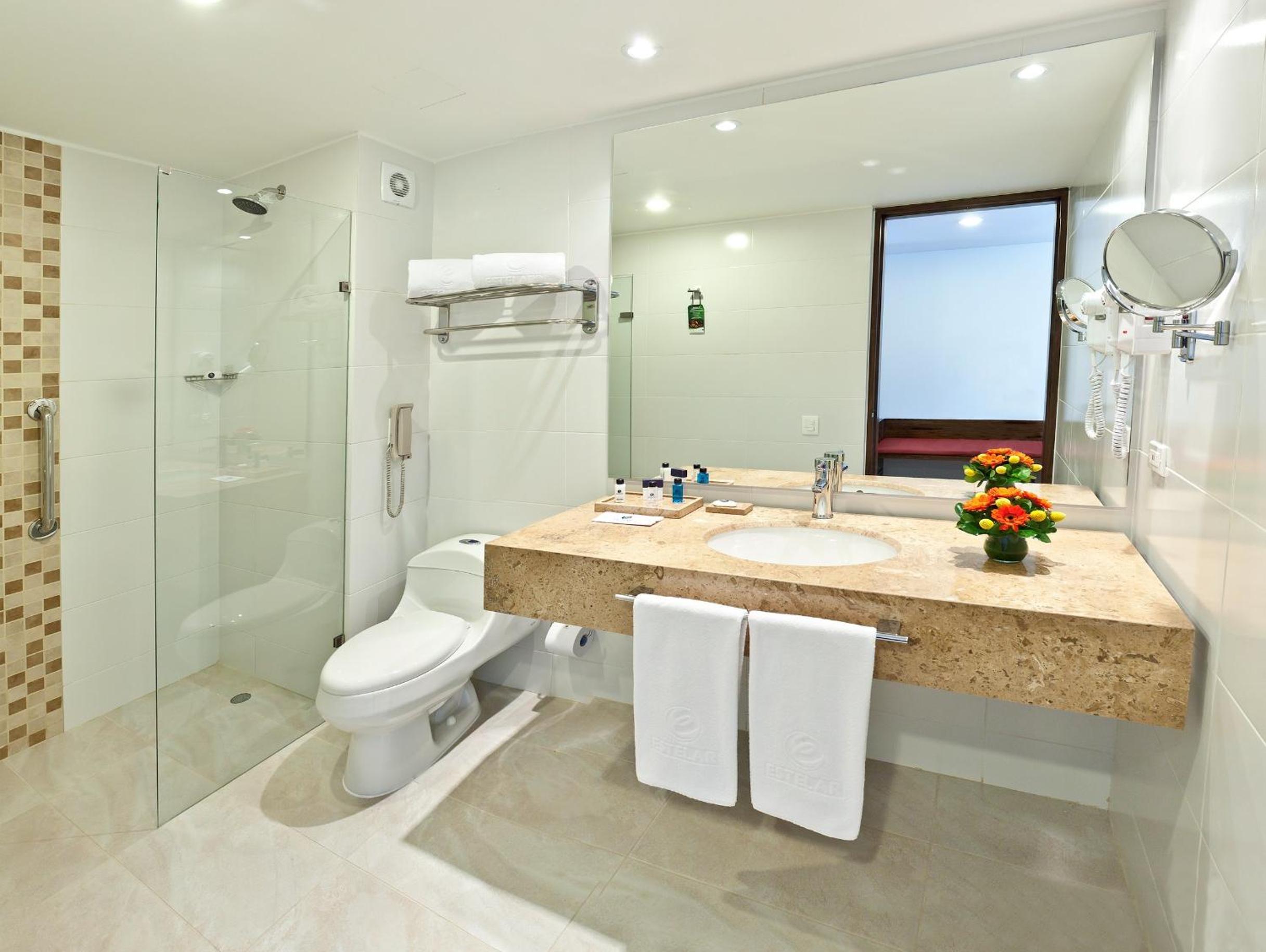 Standard King Room photo 2