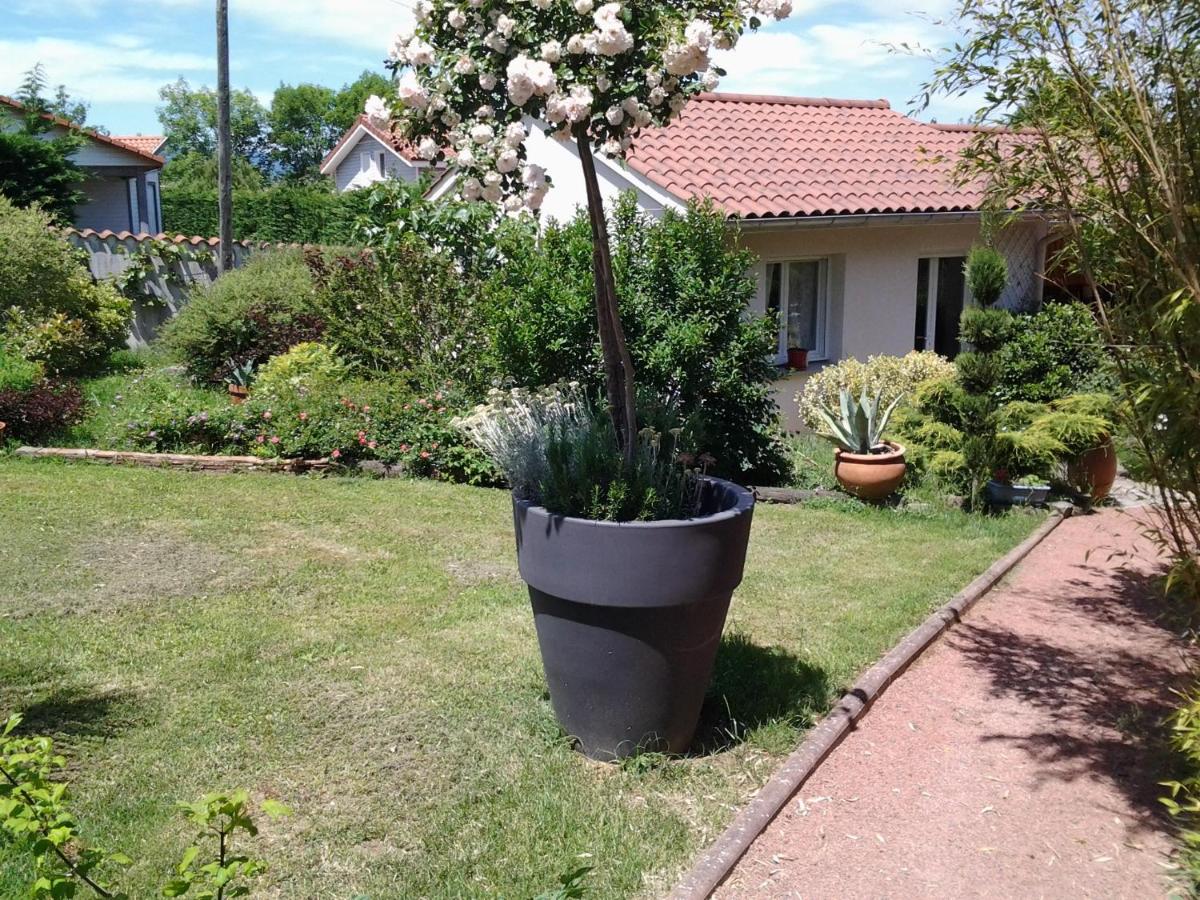 Double Room with Garden View photo 1