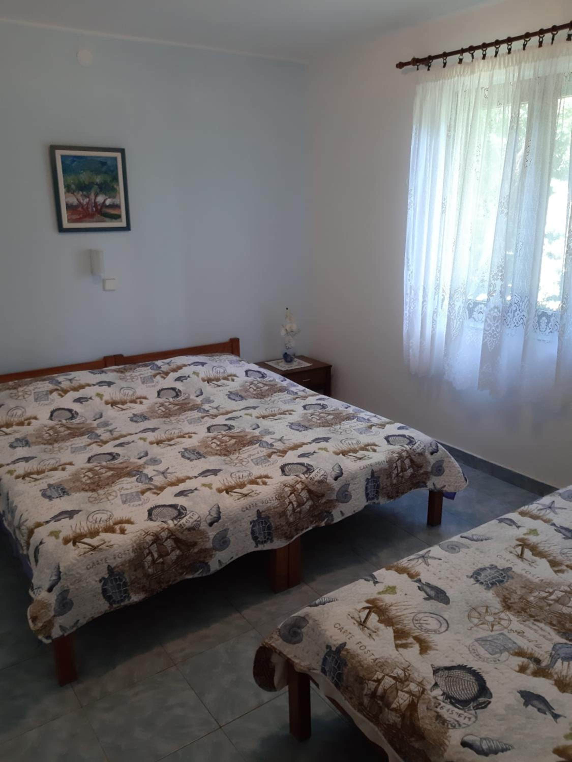 Apartment with Terrace photo 1