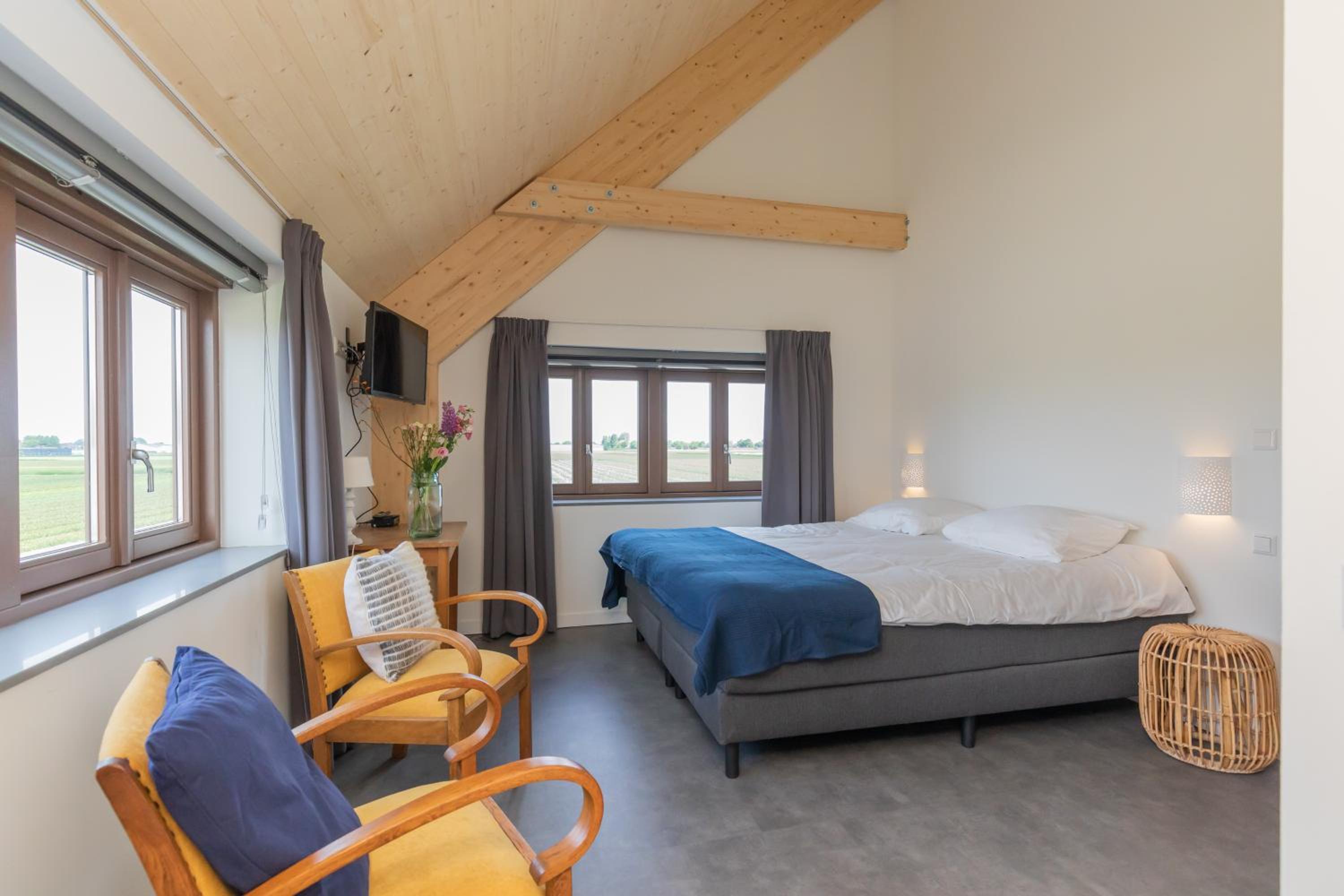 Deluxe Double or Twin Room photo 2