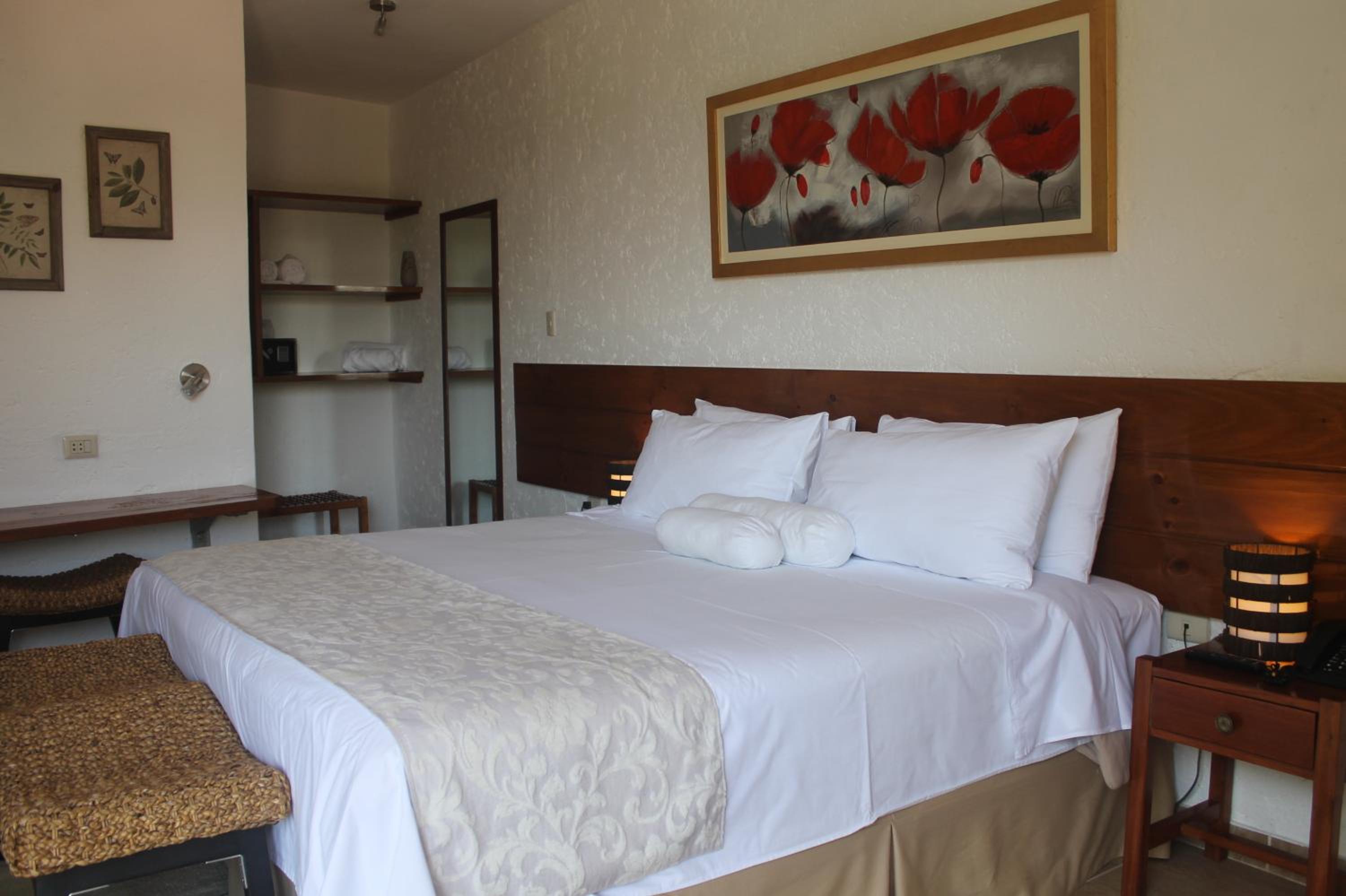 Suite with Terrace photo 1