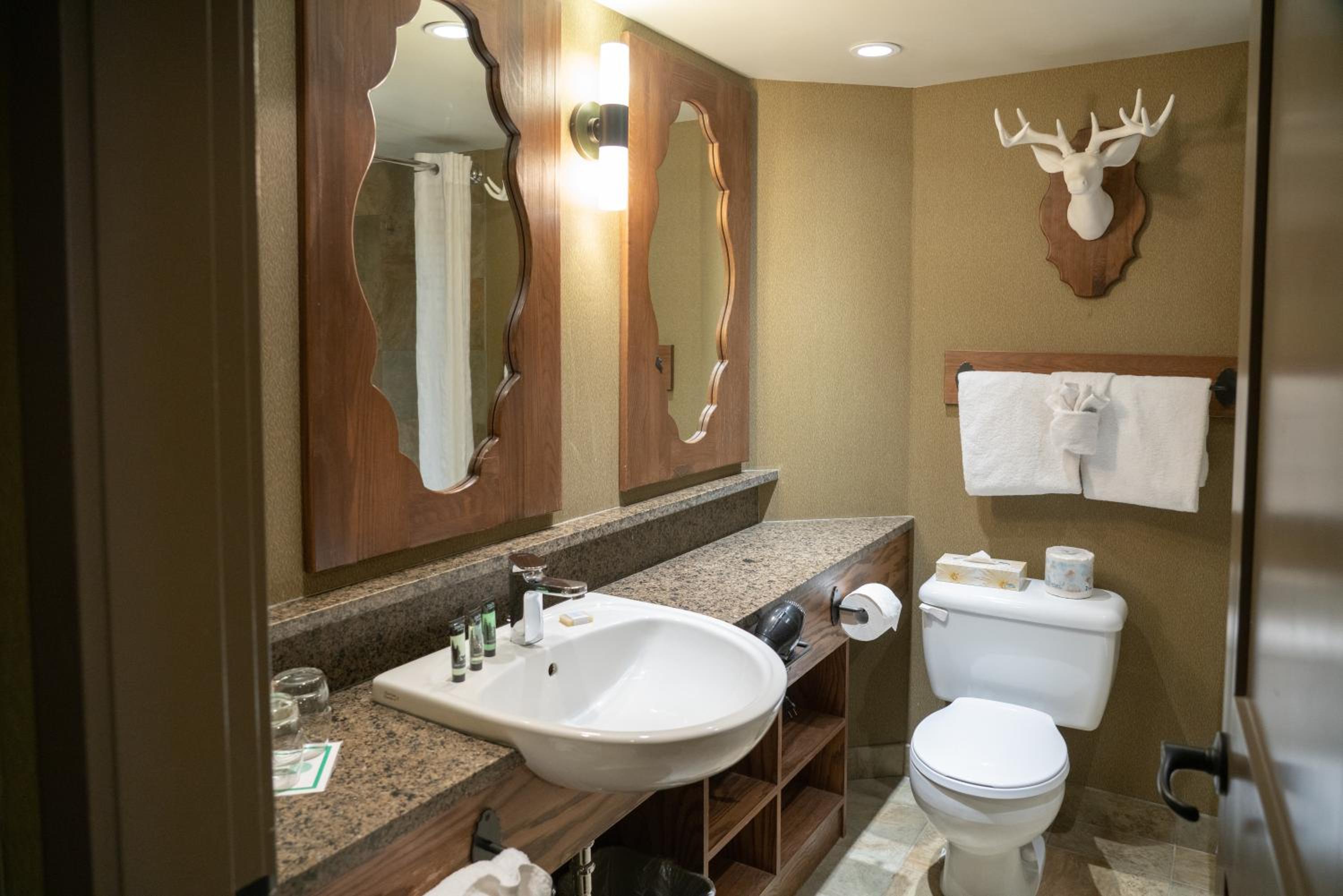 Standard King Room - Photo 4