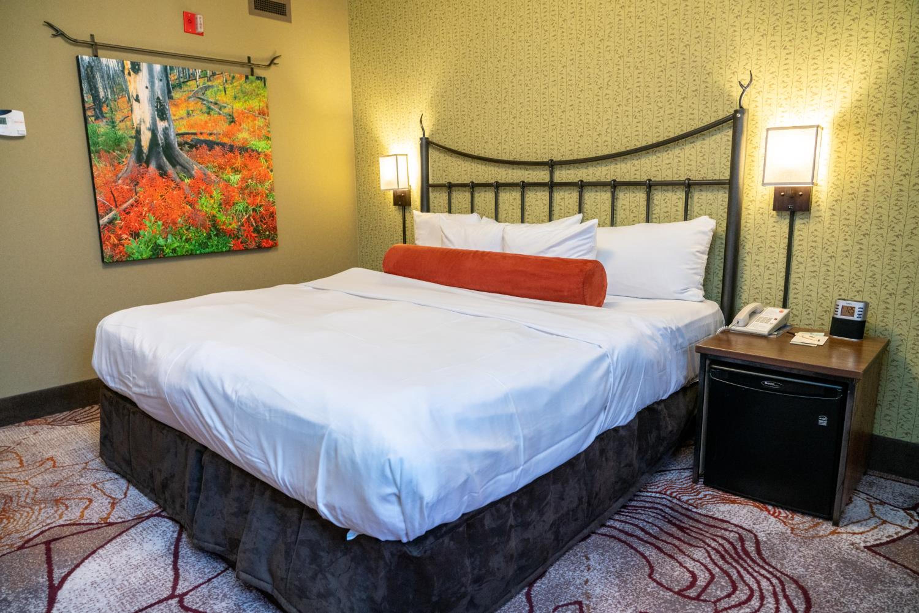 Standard King Room - Photo 1