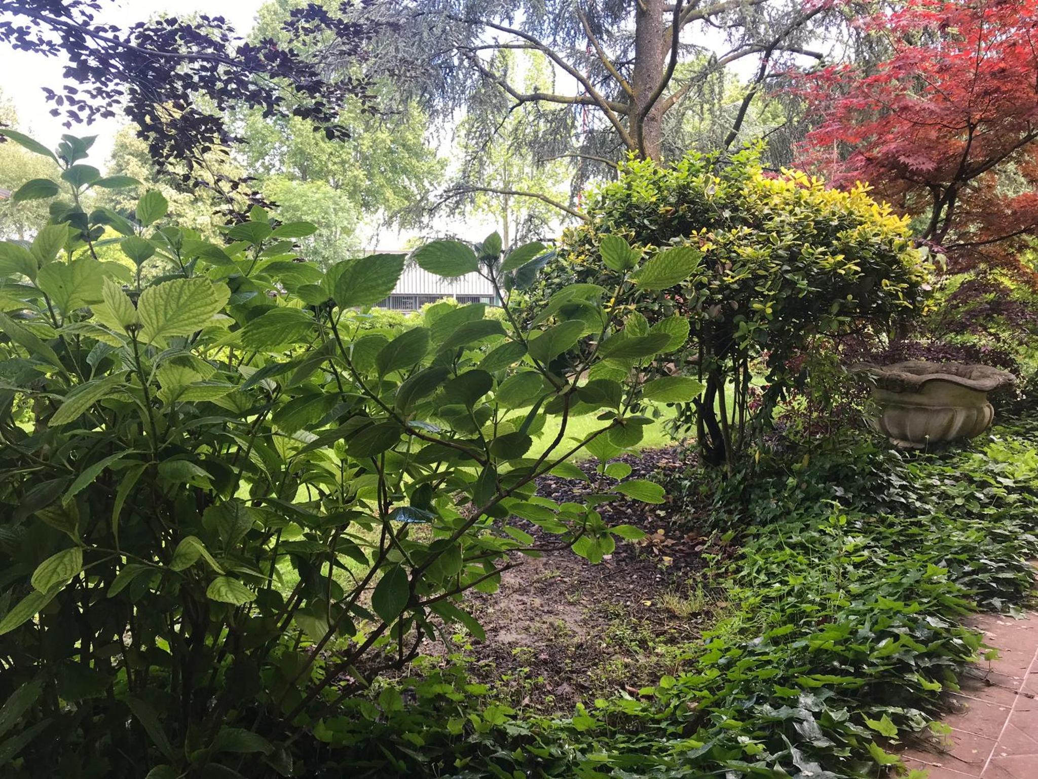 King Room with Garden View - Photo 4
