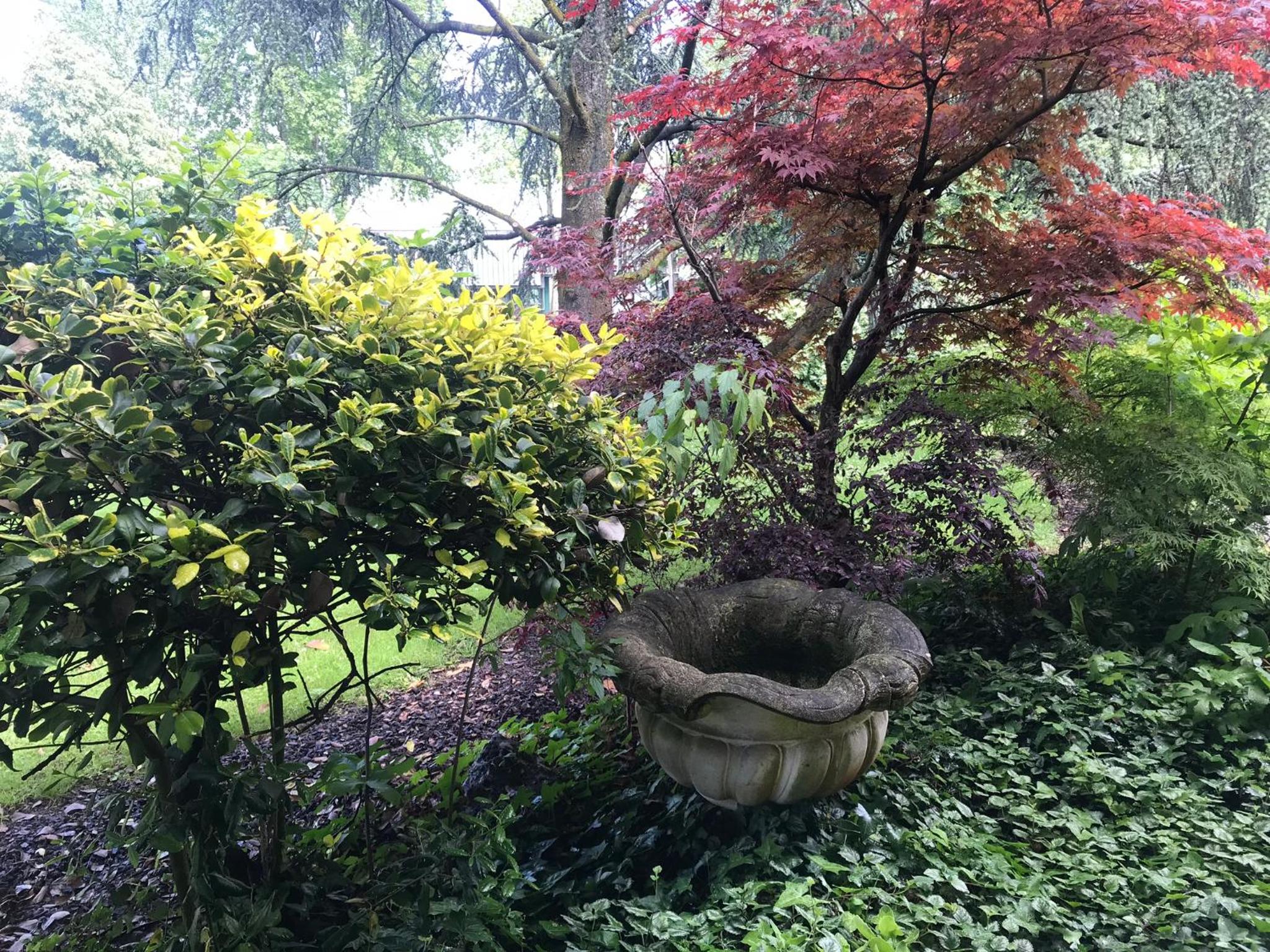 King Room with Garden View - Photo 22