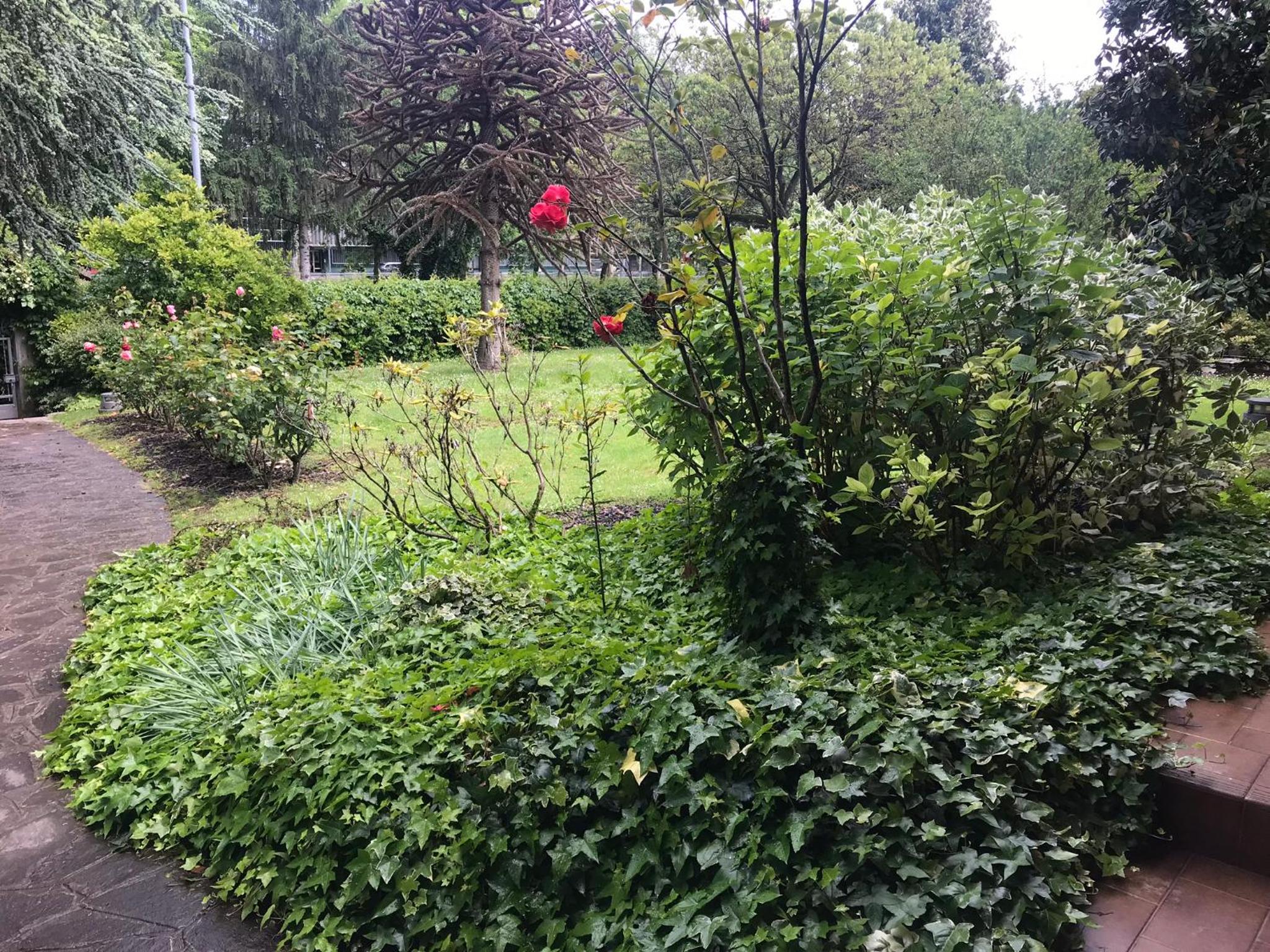 King Room with Garden View - Photo 24