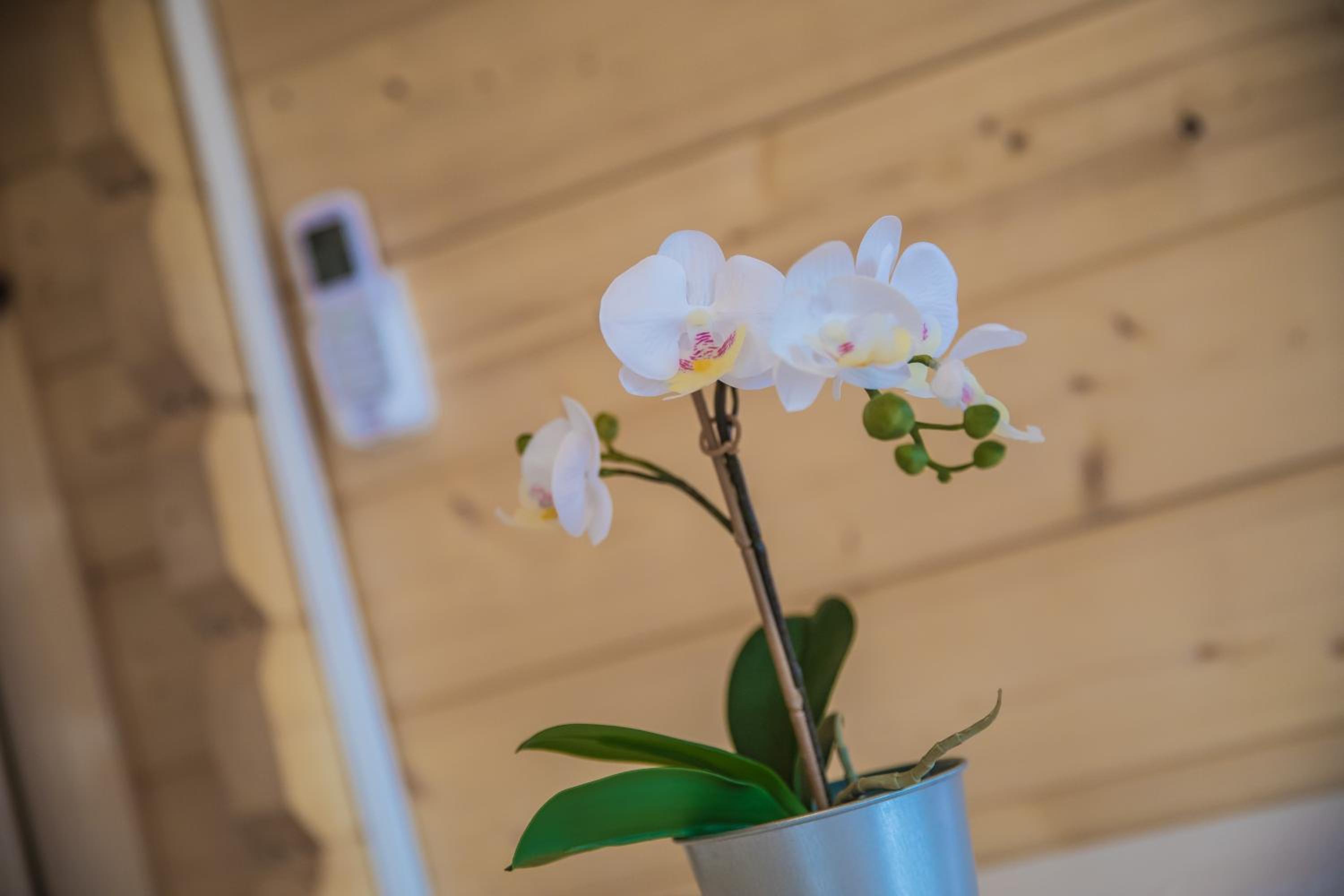 Holiday Home - Photo 6